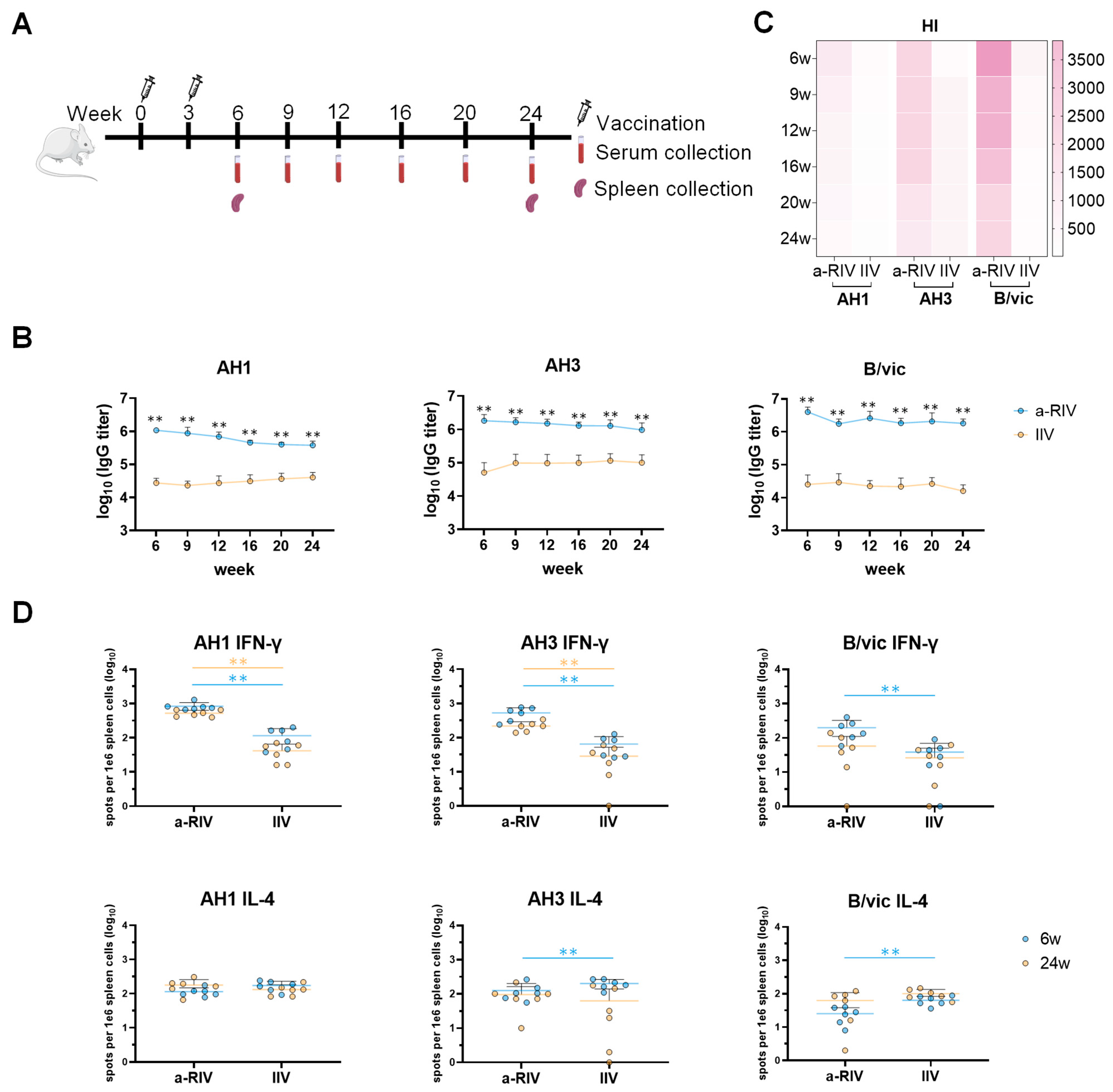 Vaccines 13 01162 g003