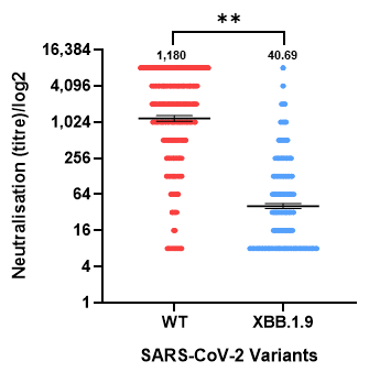 Vaccines 13 01167 g002 Vaccines 13 01167 g002