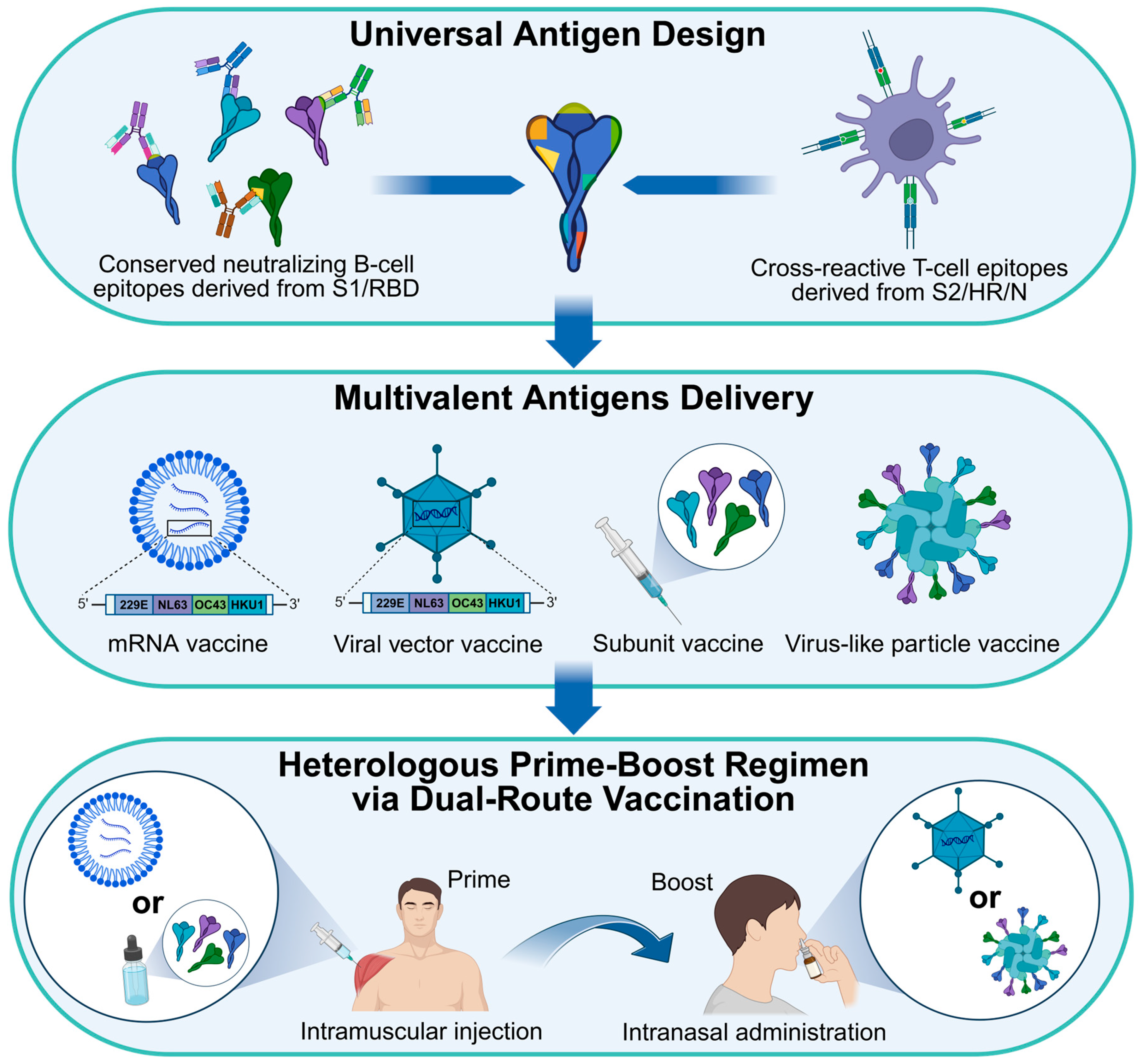 Vaccines 13 01168 g003