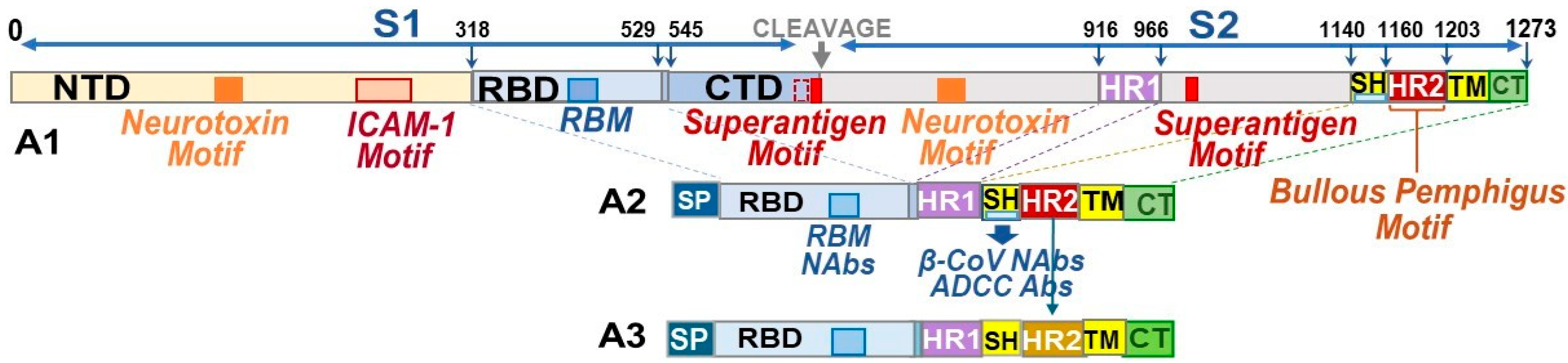 Vaccines 13 01172 g001