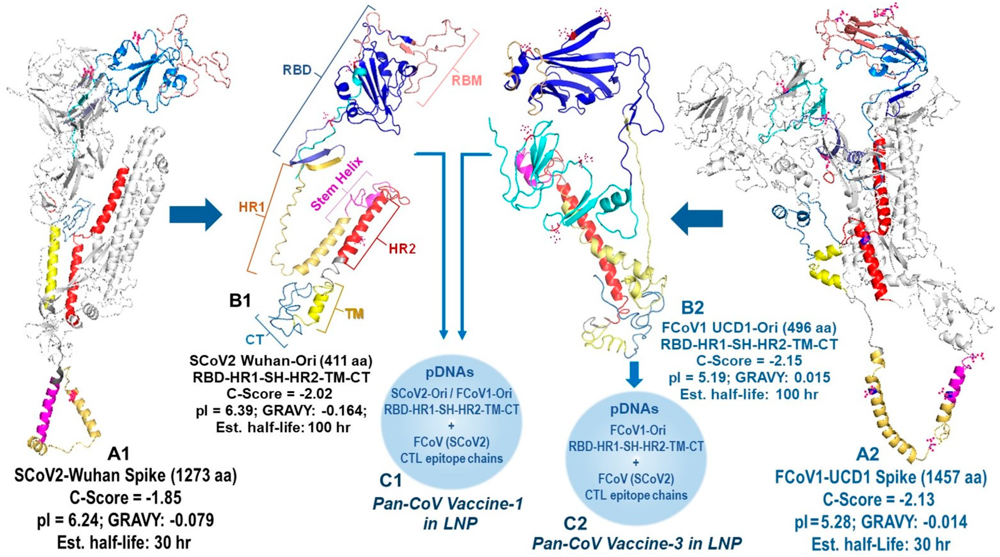 Vaccines 13 01172 g002