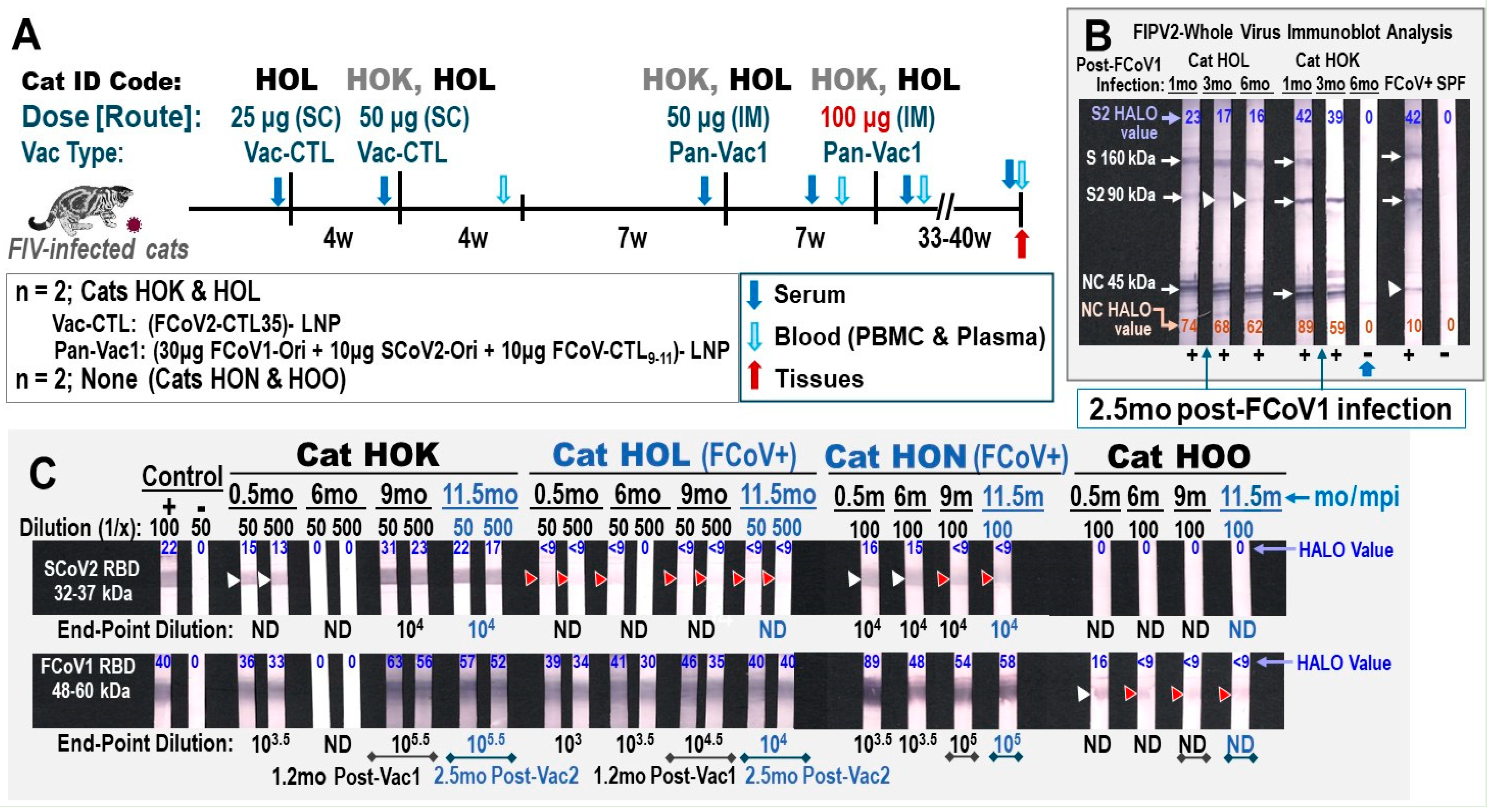 Vaccines 13 01172 g006
