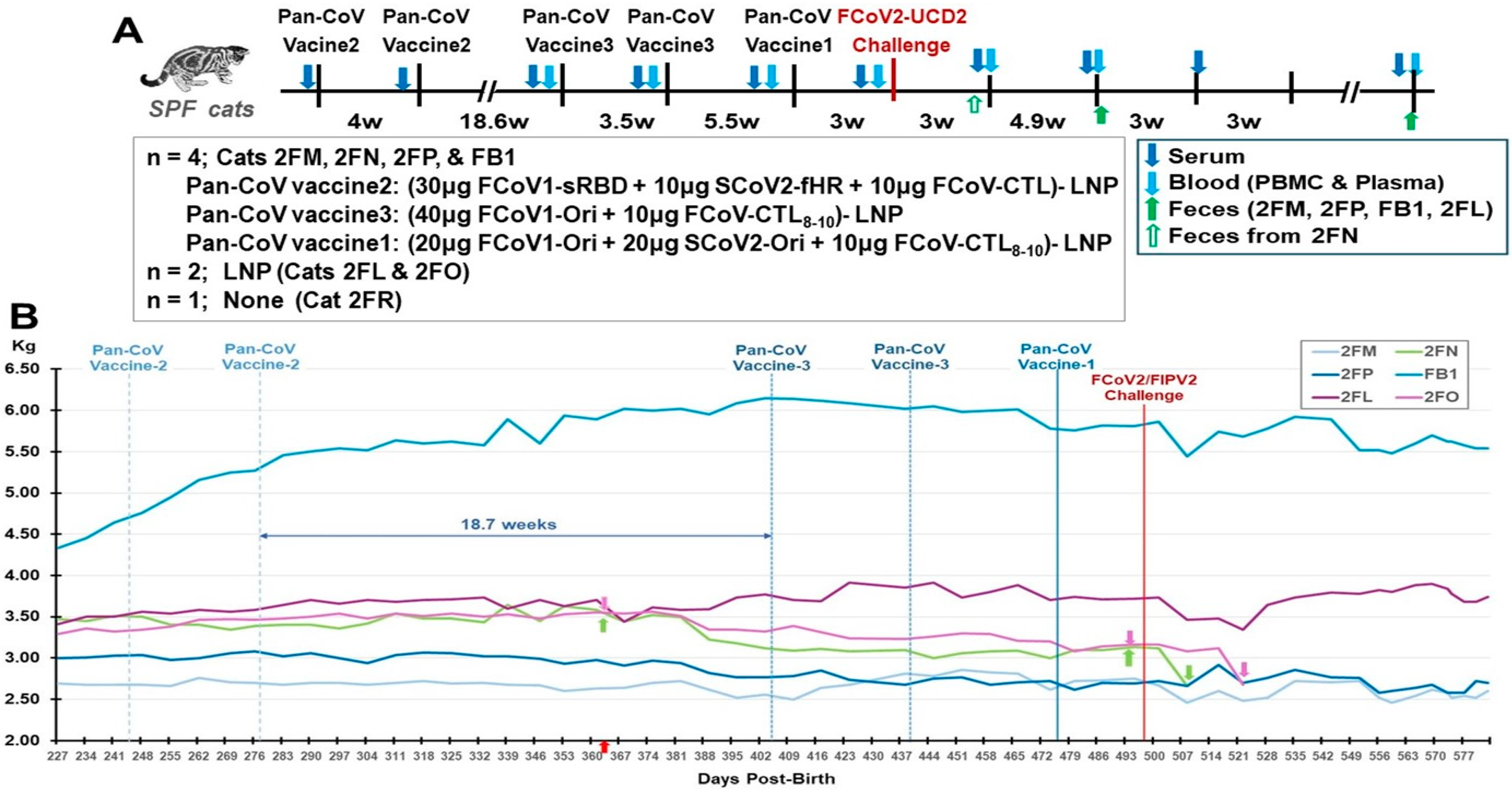 Vaccines 13 01172 g009