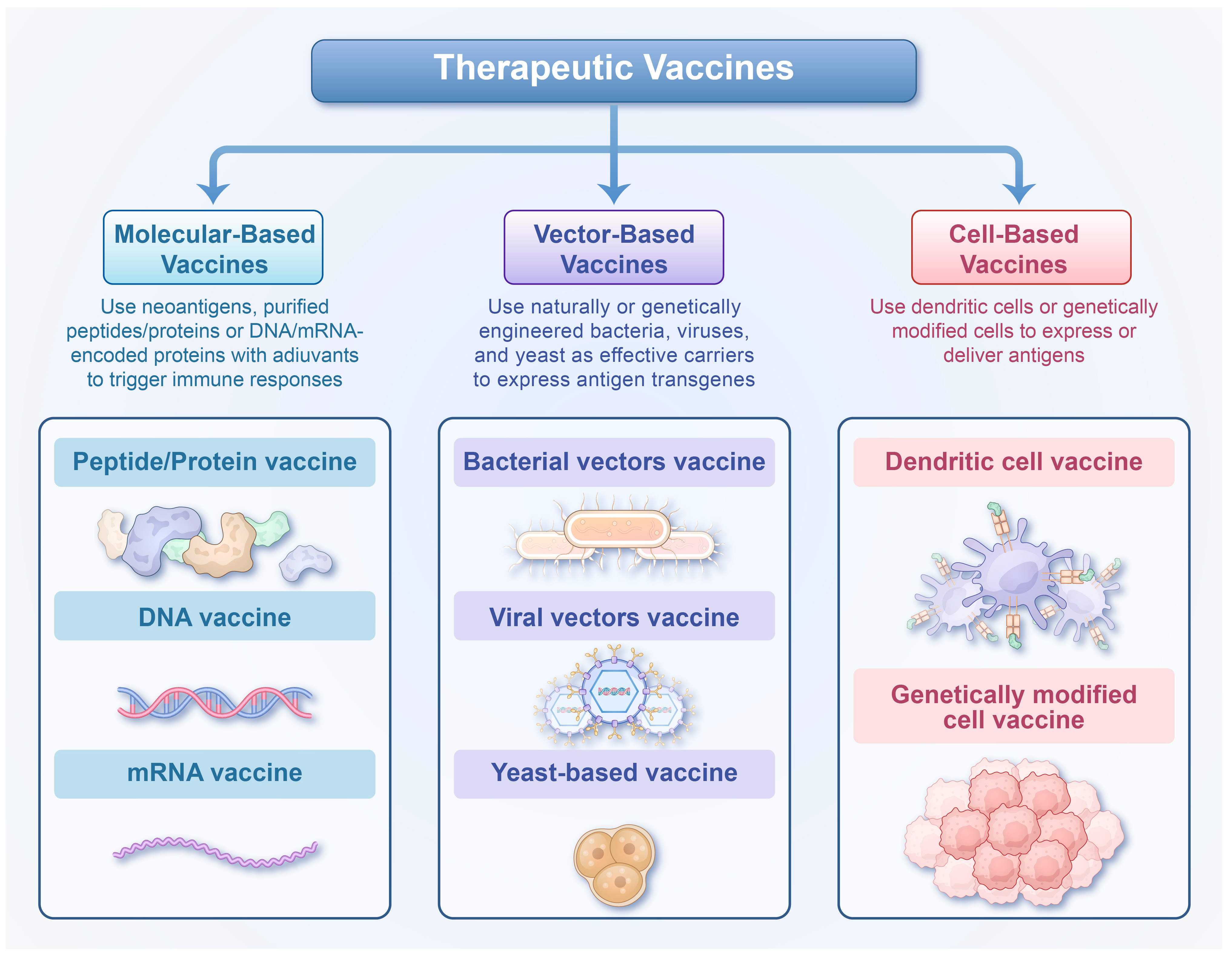 Vaccines 13 01174 g001