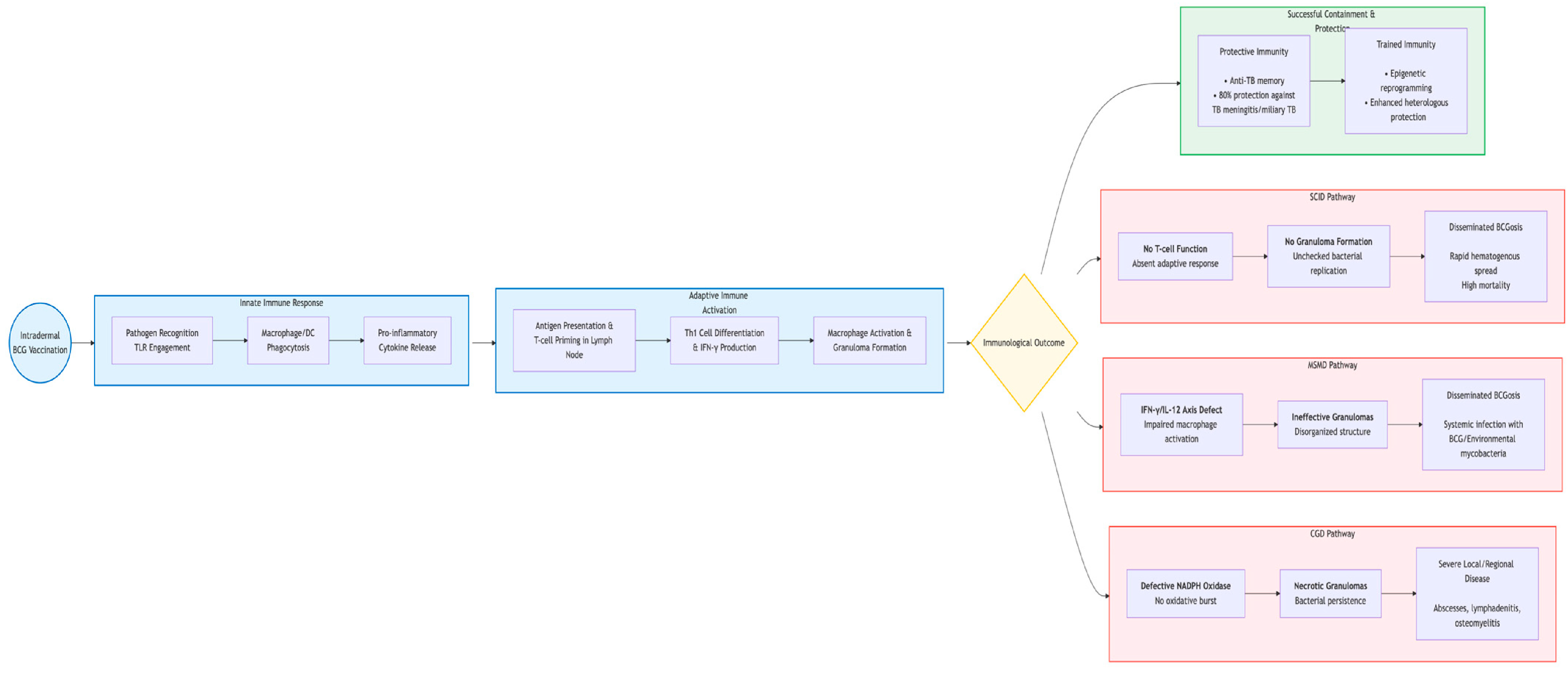 Vaccines 13 01179 g002