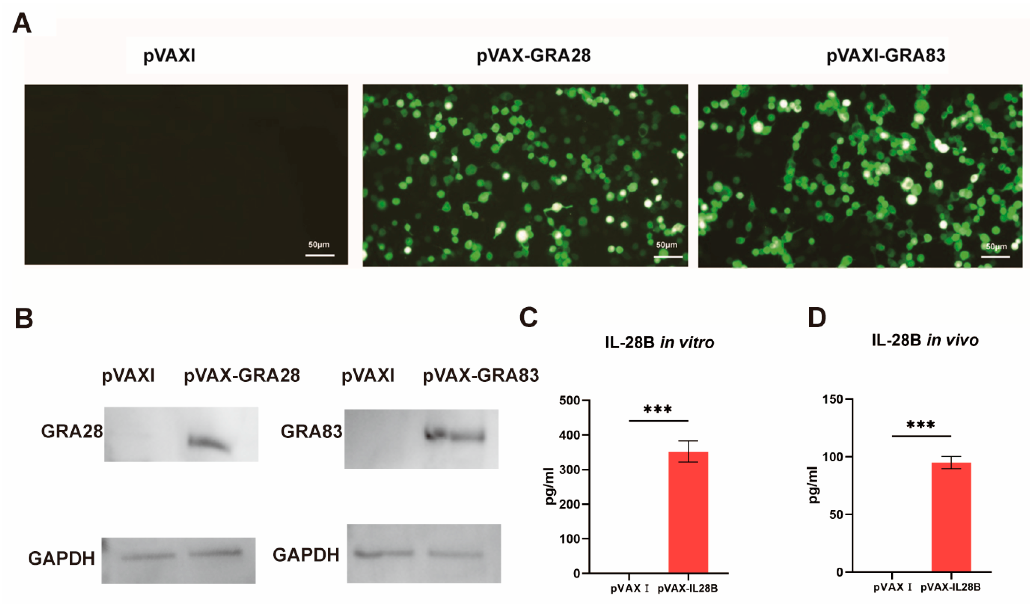 Vaccines 13 01180 g001