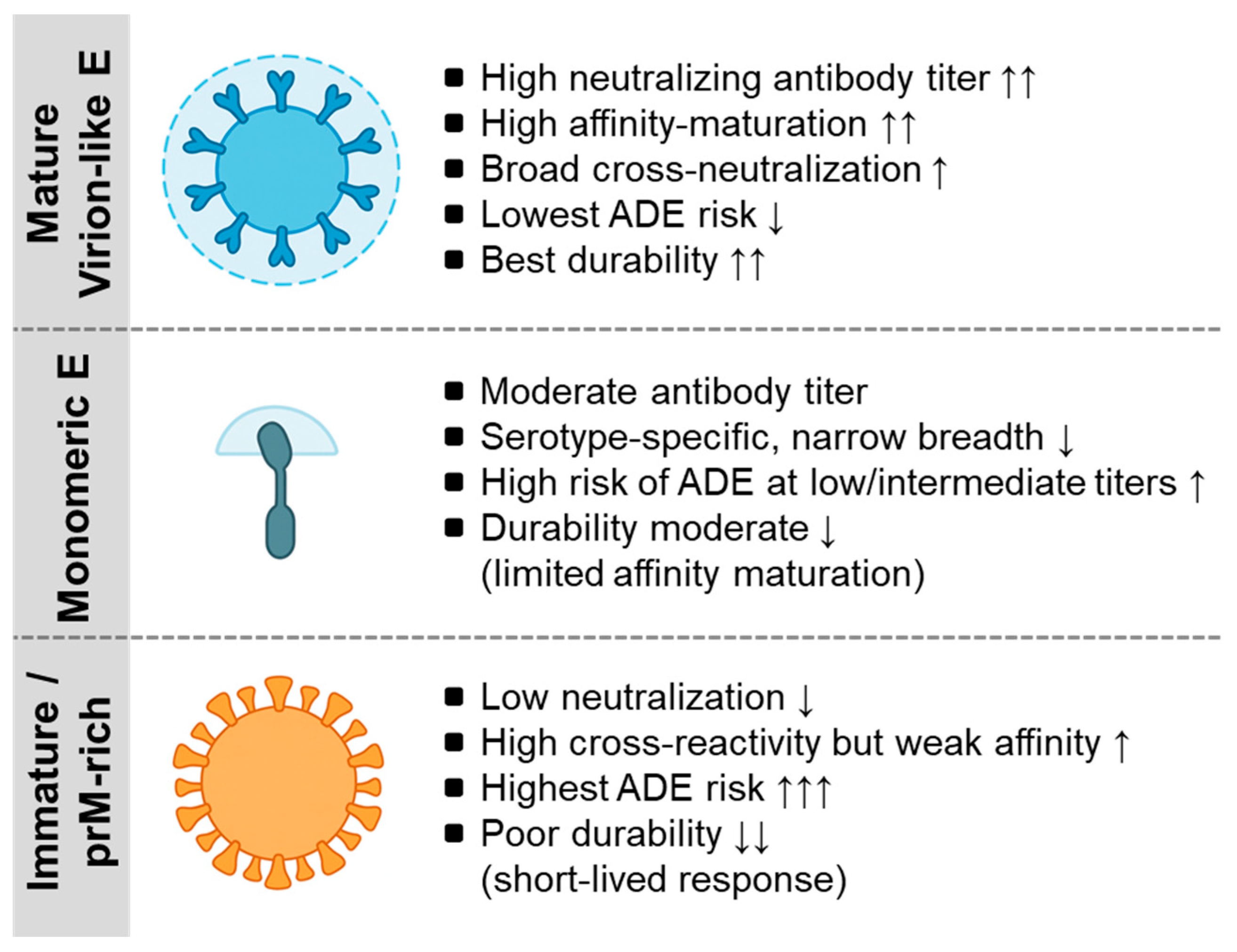 Vaccines 13 01182 g001