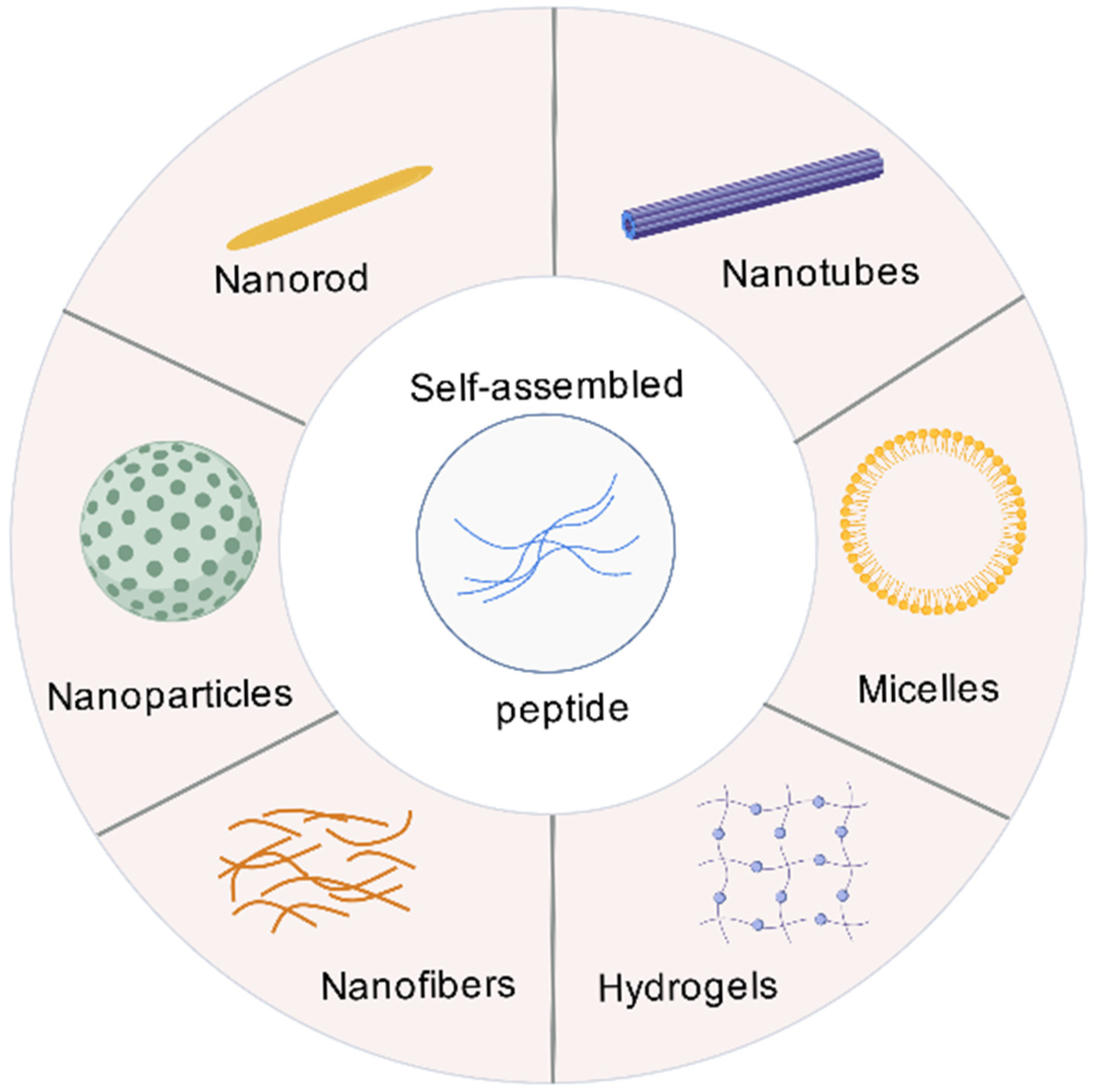 Vaccines 13 01183 g001