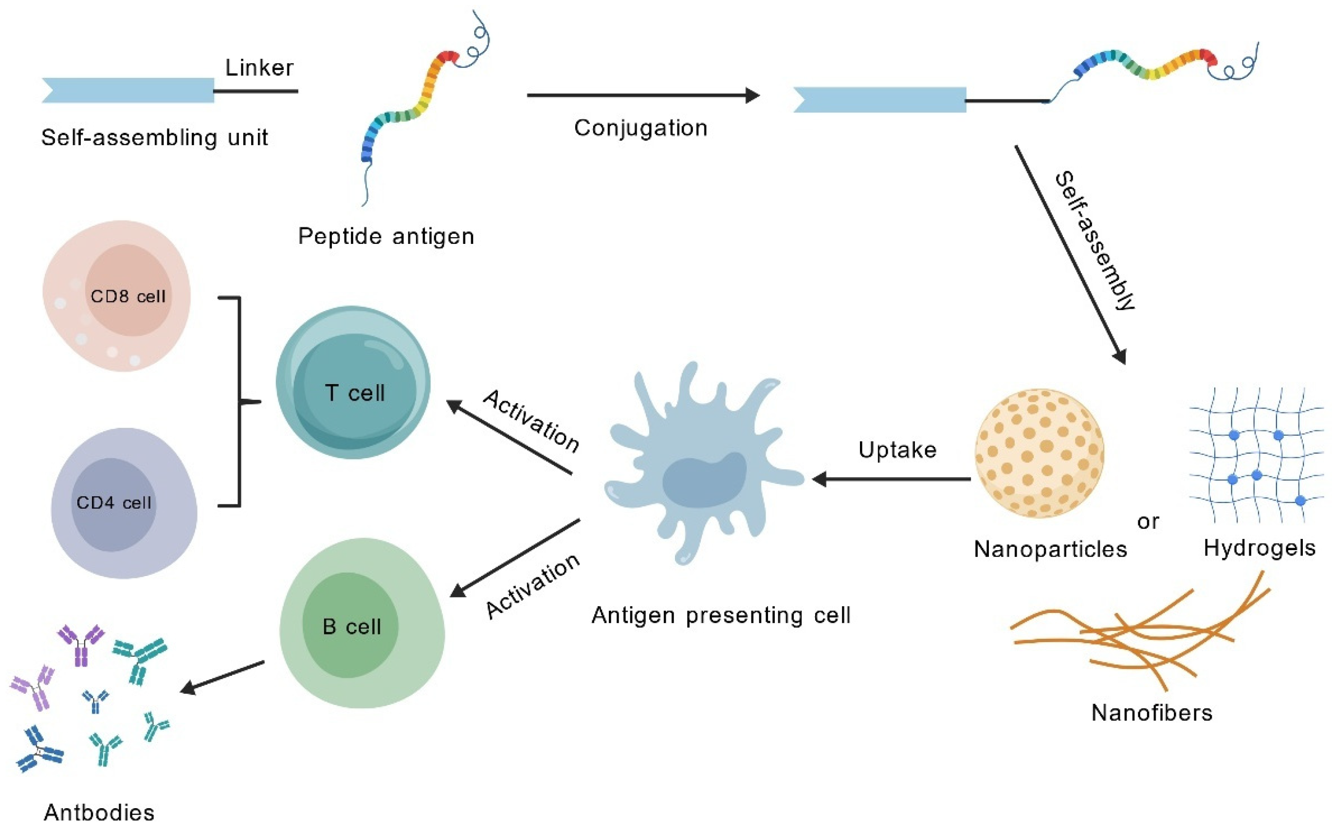 Vaccines 13 01183 g003