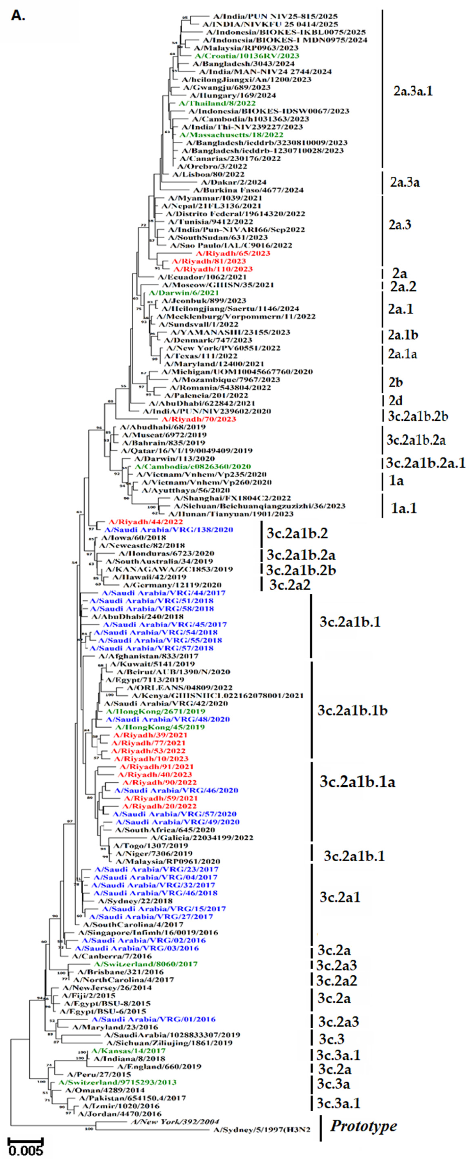 Vaccines 13 01184 g004a