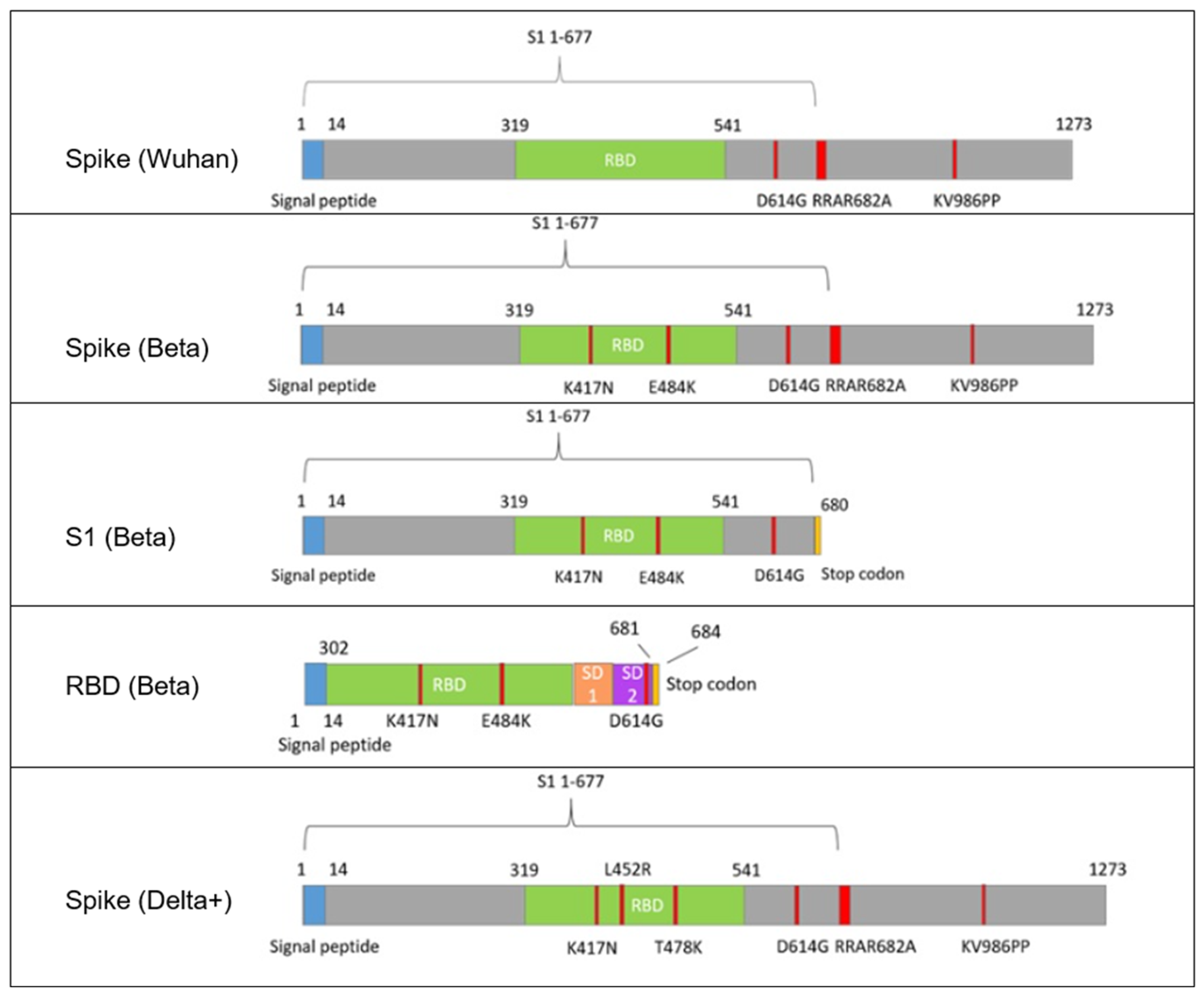 Vaccines 13 01187 g001