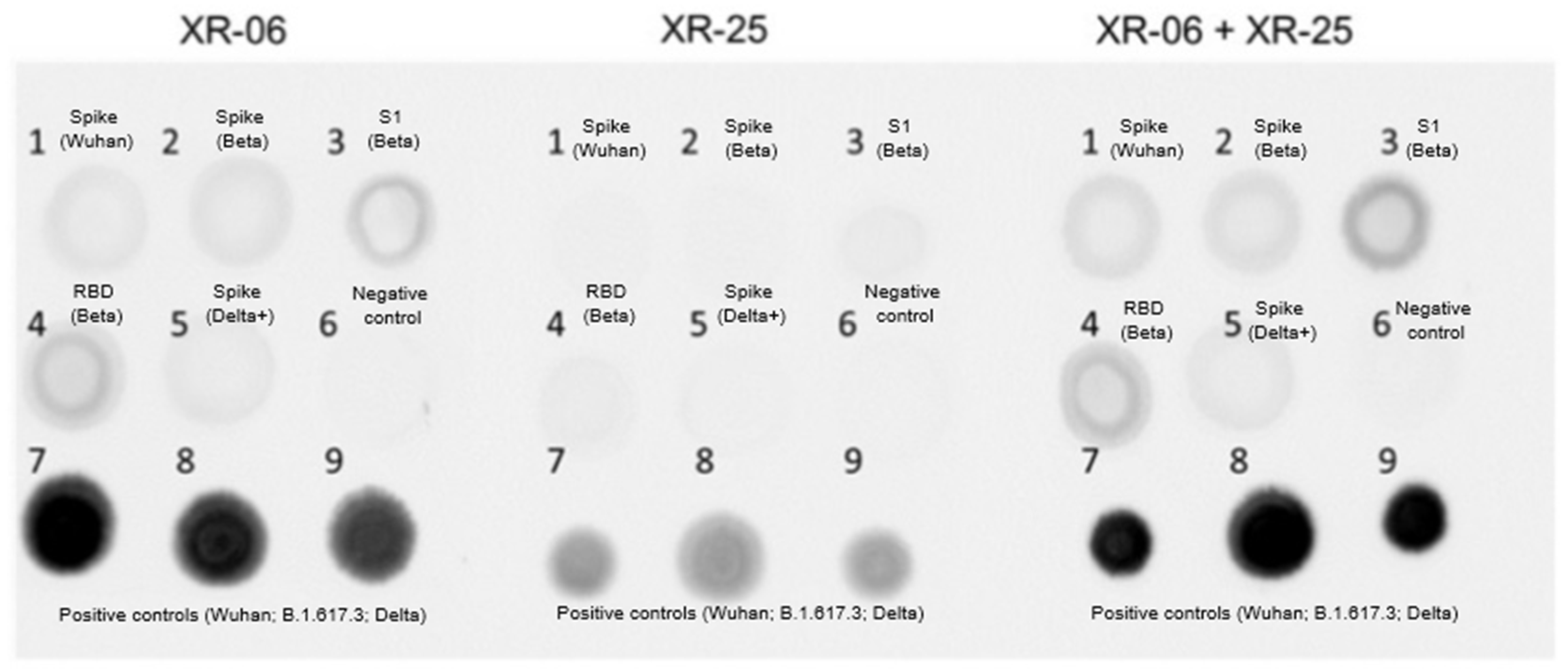 Vaccines 13 01187 g002