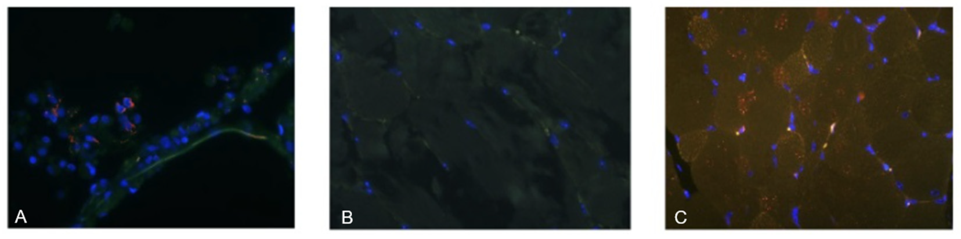 Vaccines 13 01187 g003