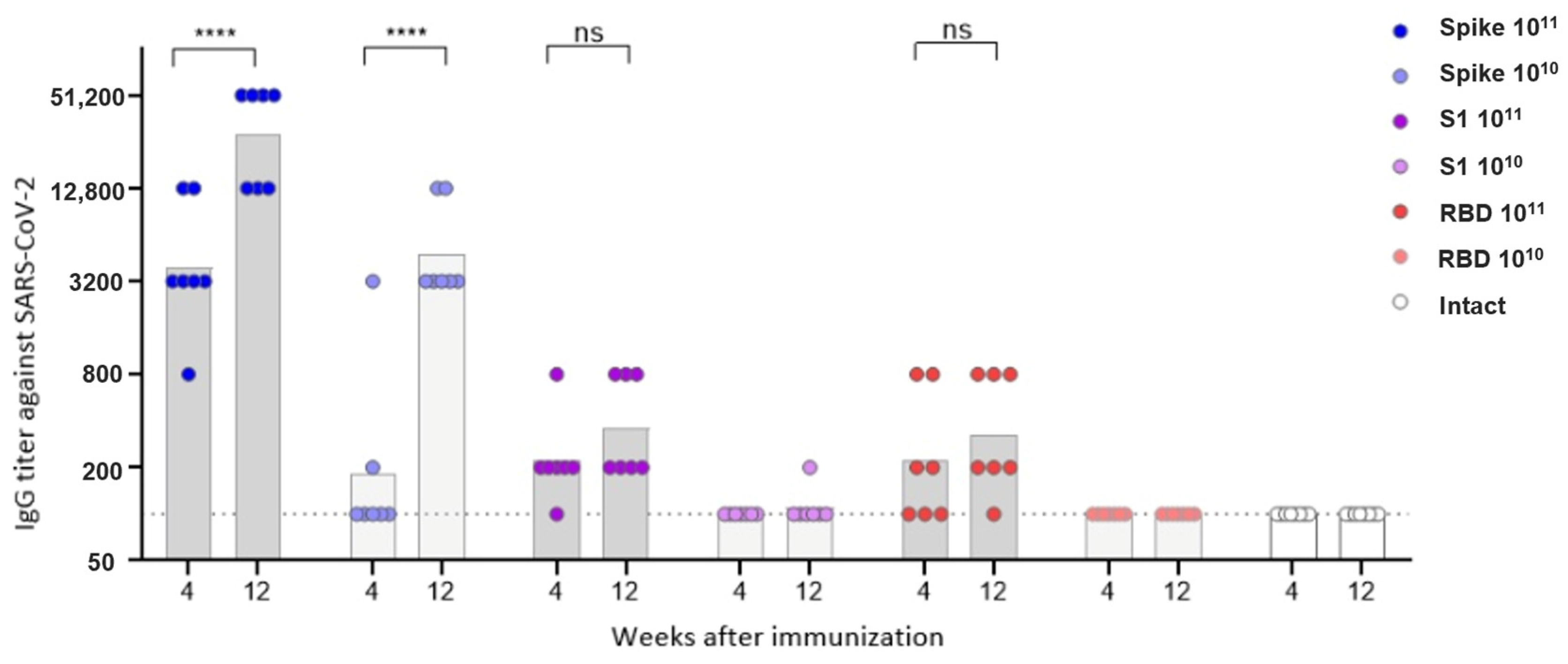 Vaccines 13 01187 g005