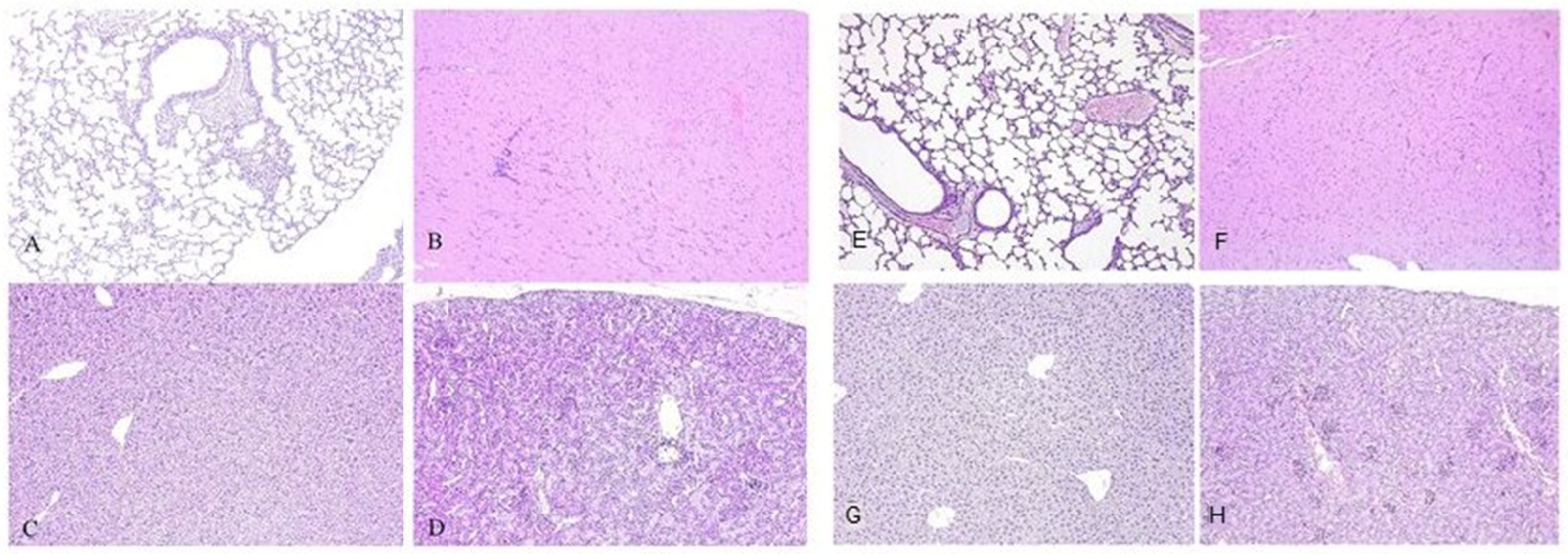 Vaccines 13 01187 g010