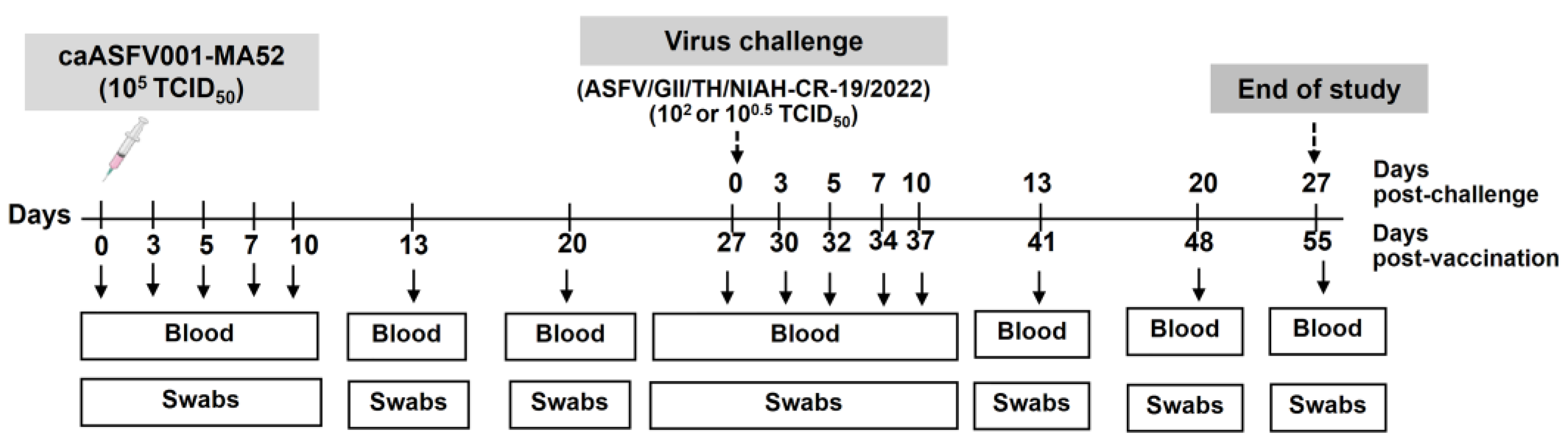 Vaccines 13 01189 g001