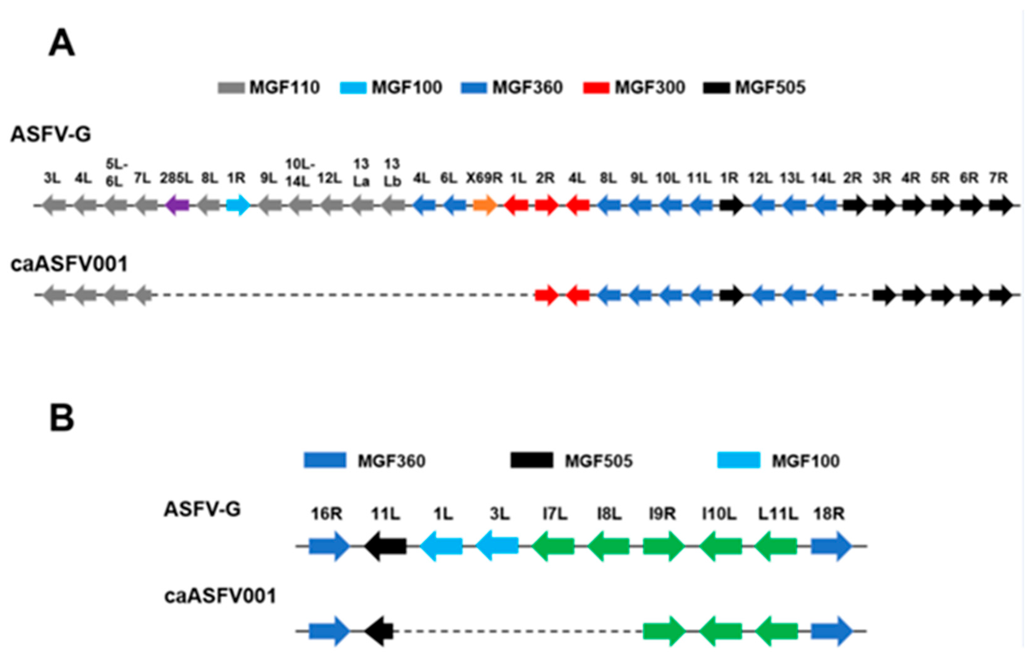 Vaccines 13 01189 g002