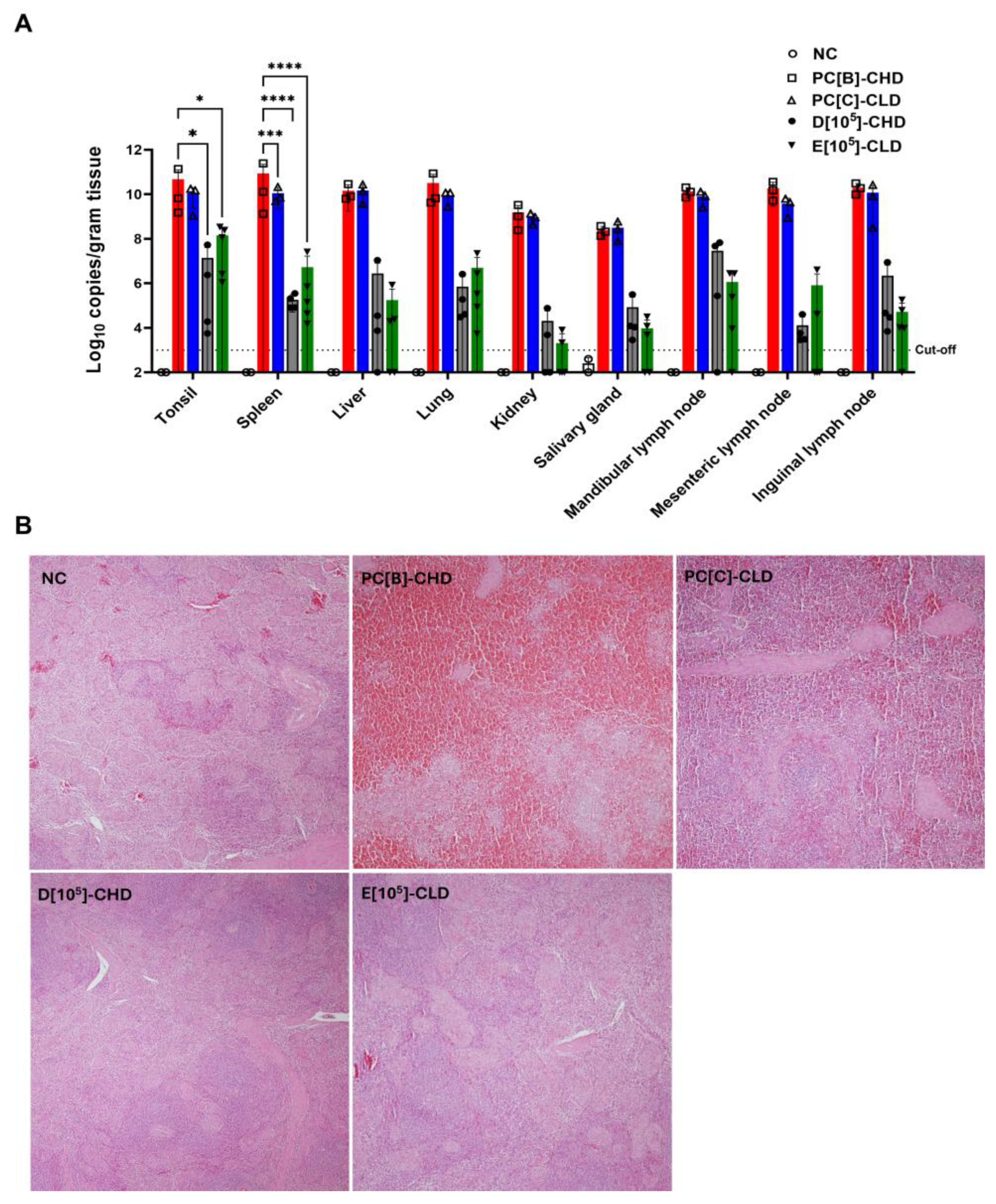 Vaccines 13 01189 g009