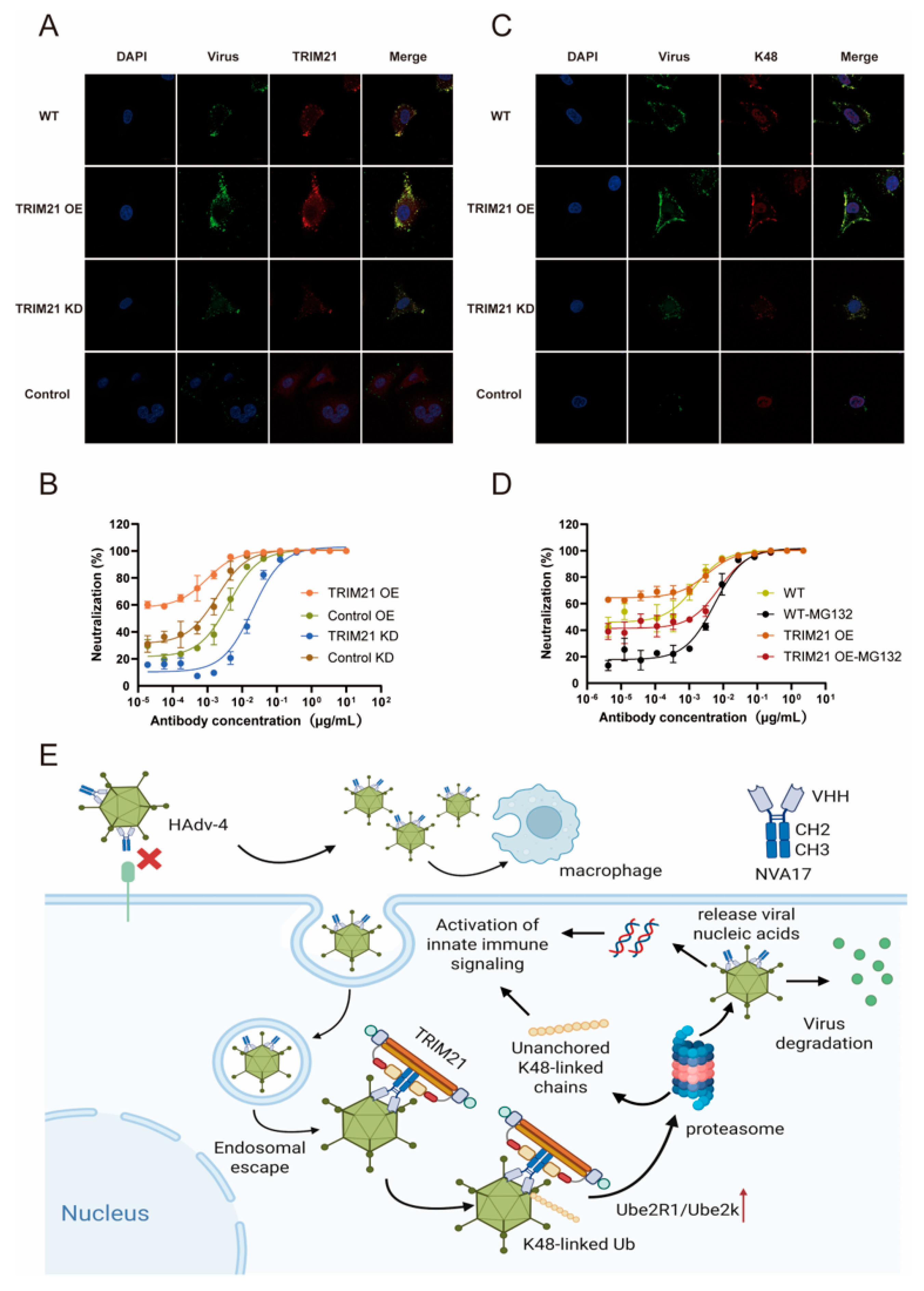 Vaccines 13 01192 g006