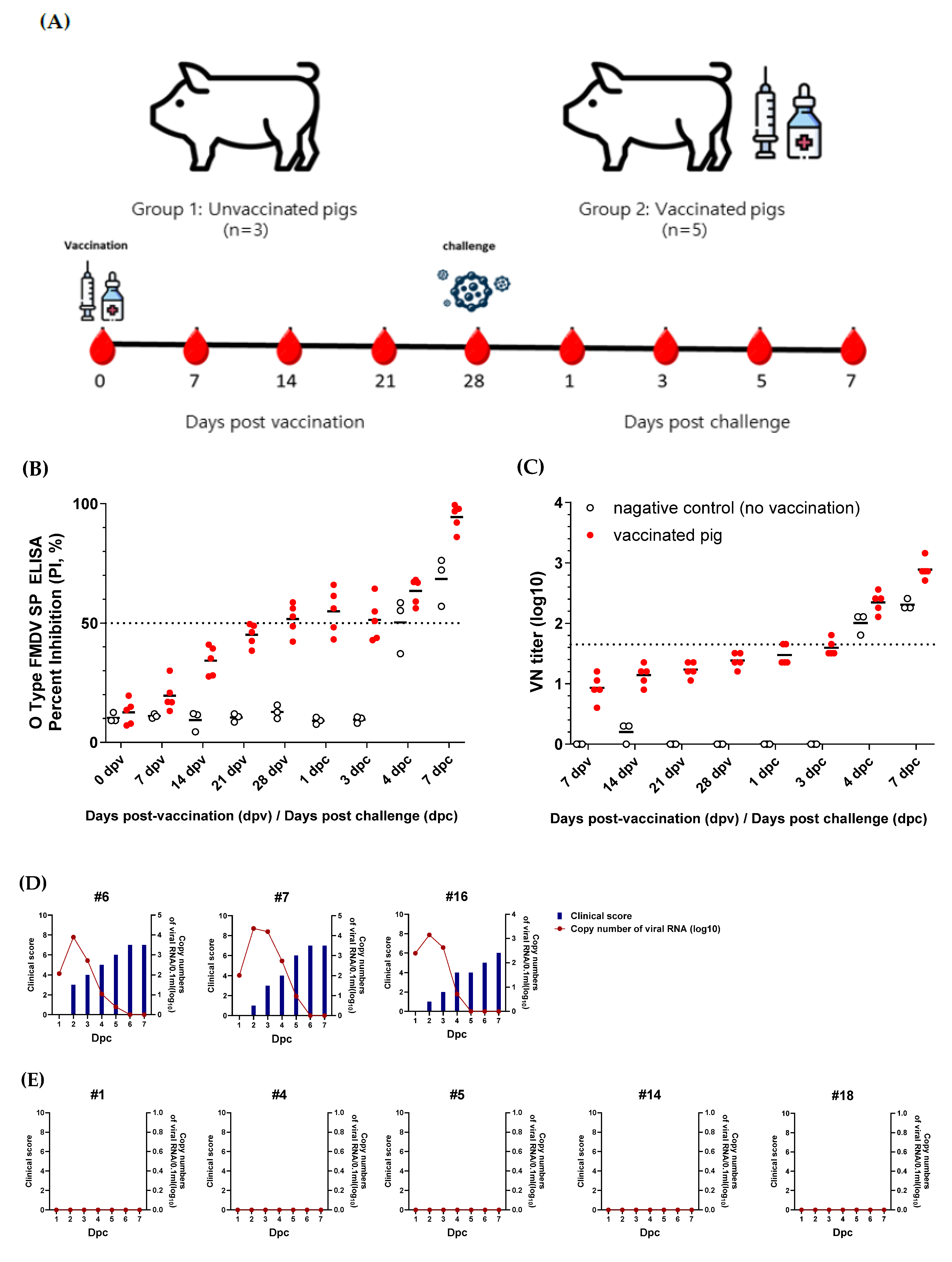 Vaccines 13 01195 g004