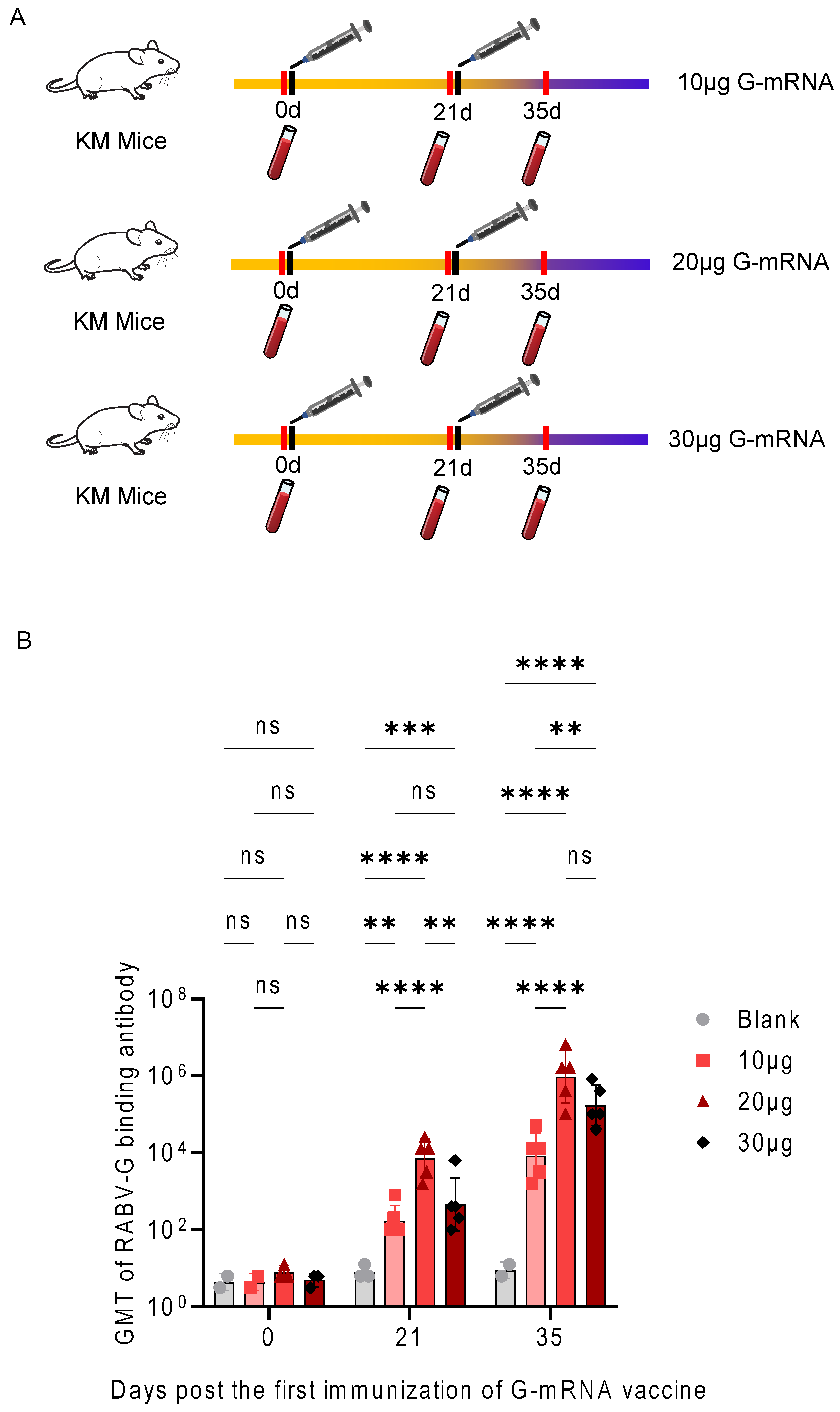 Vaccines 13 01196 g004