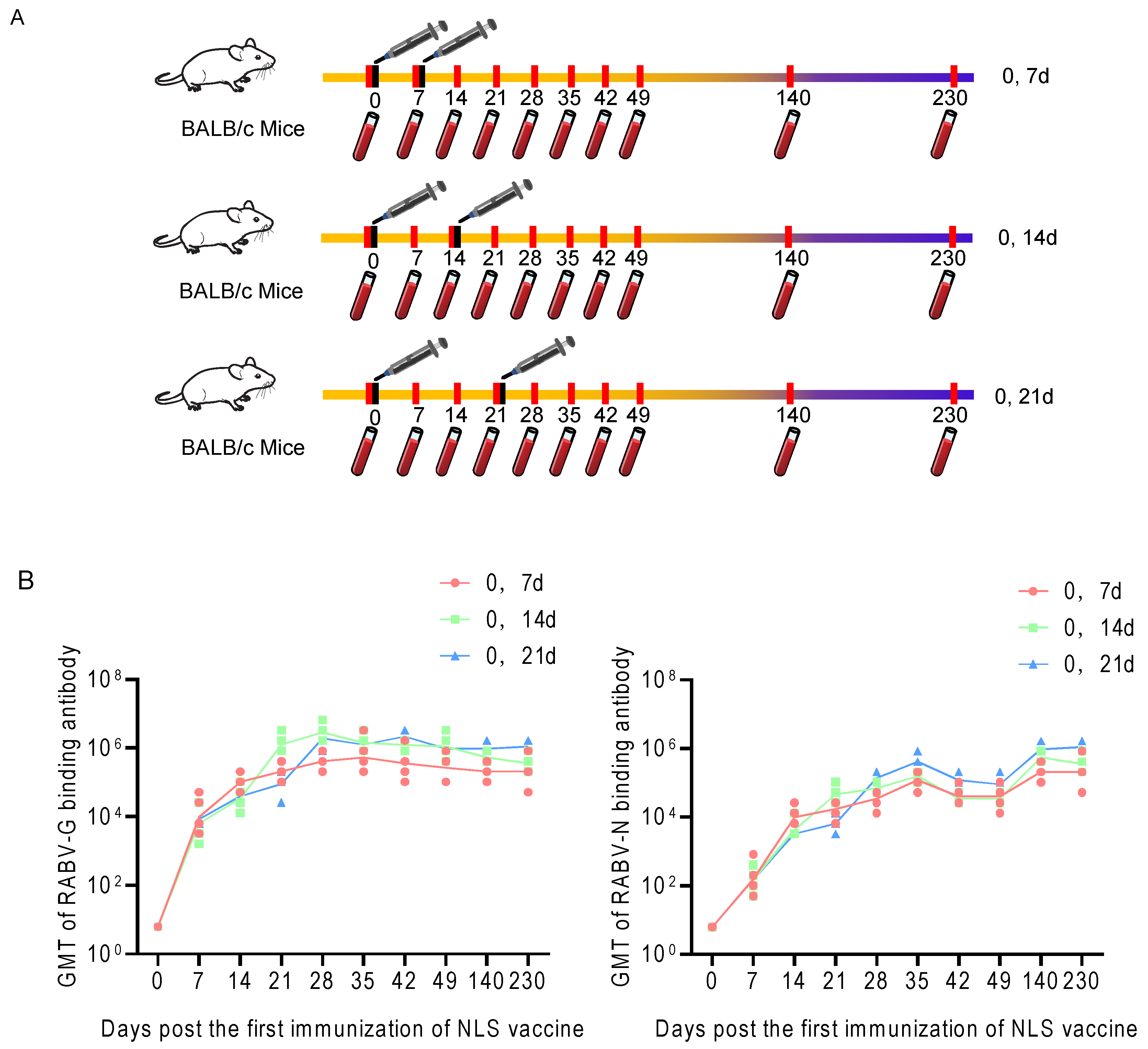 Vaccines 13 01196 g005