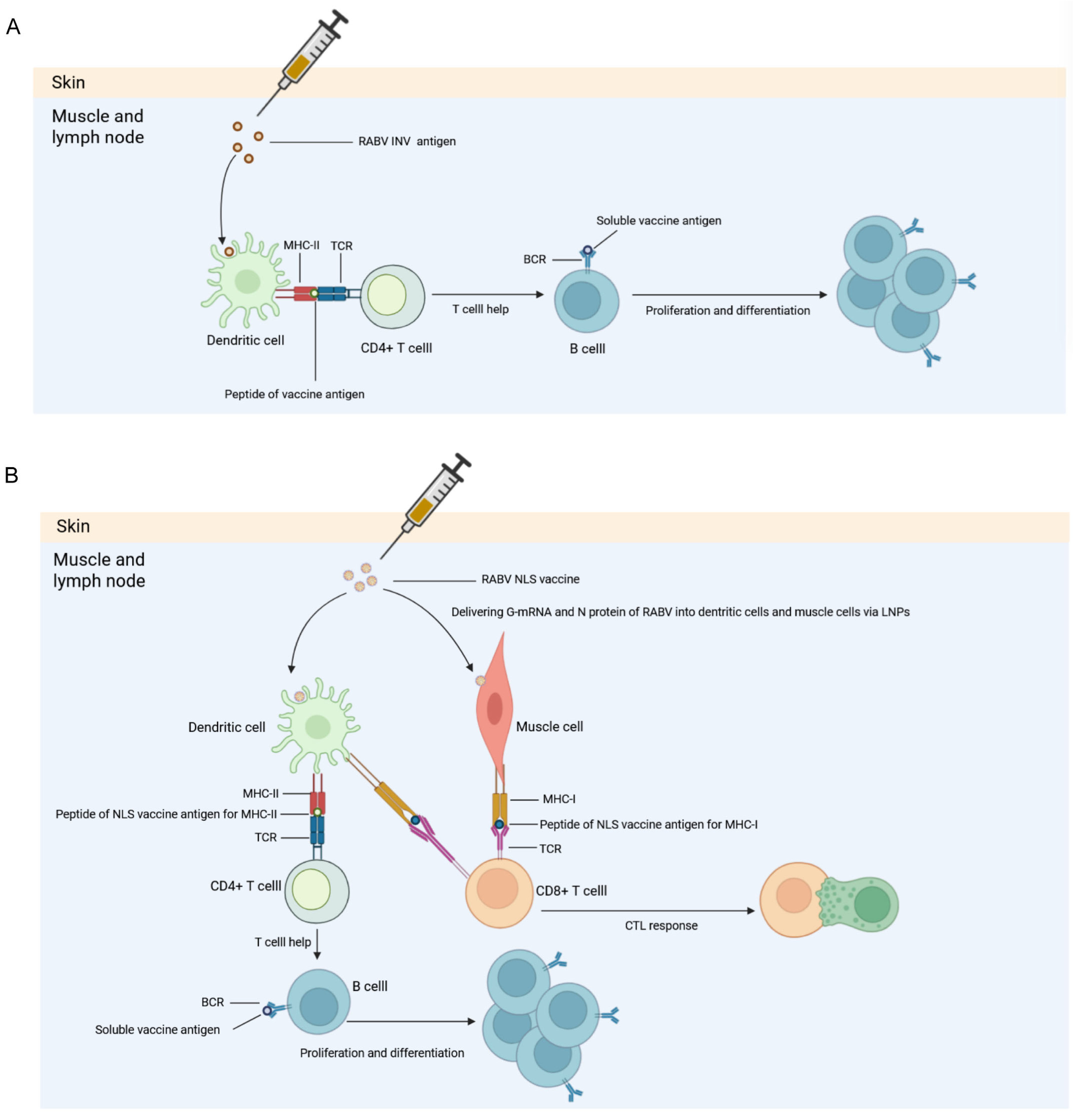 Vaccines 13 01196 g009