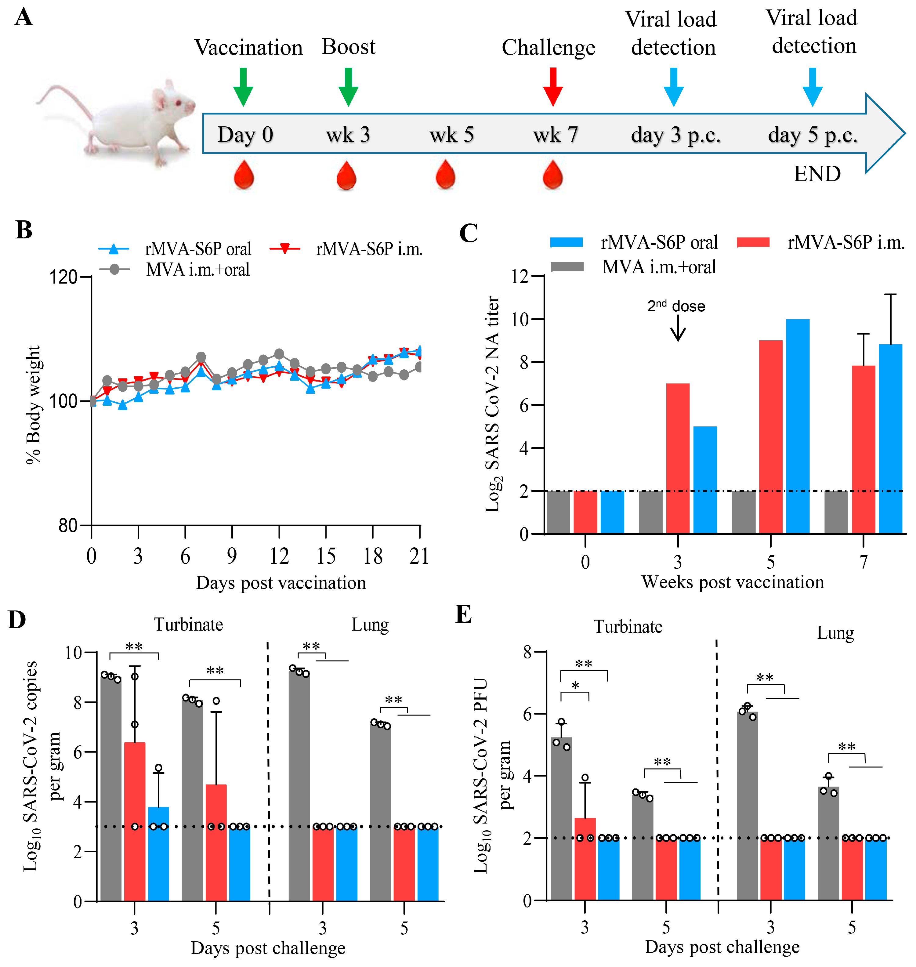 Vaccines 13 01207 g004