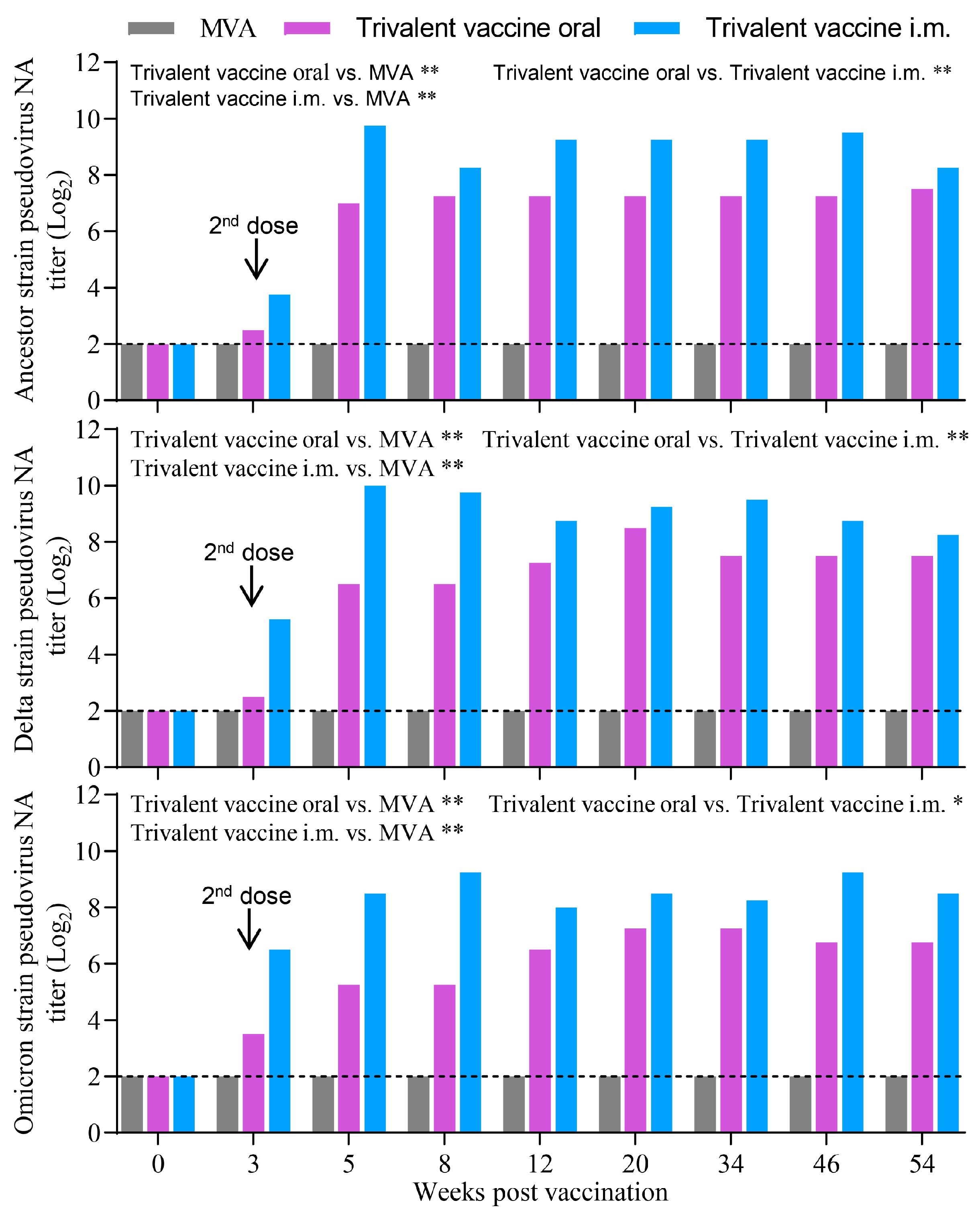 Vaccines 13 01207 g005