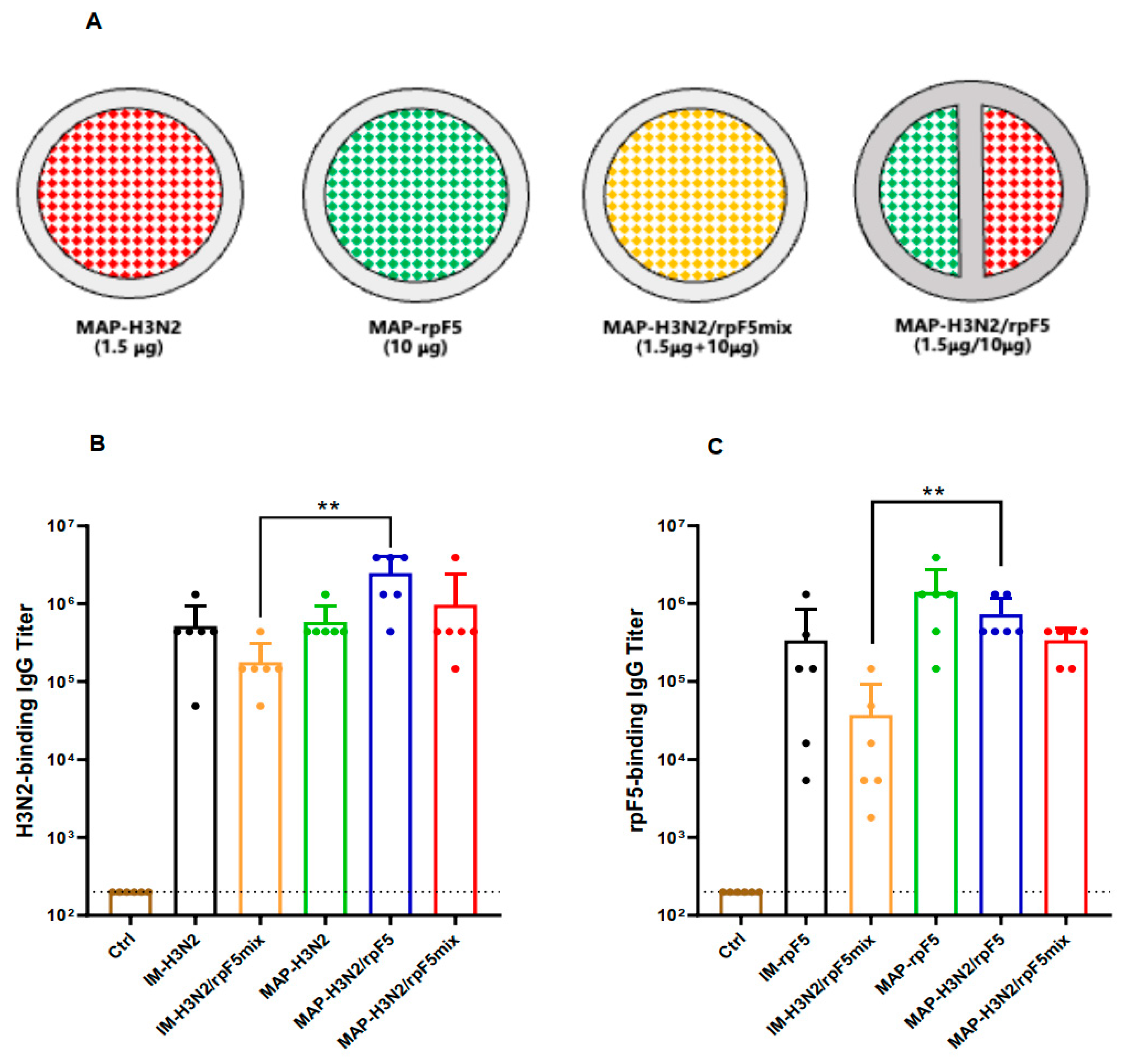 Vaccines 13 01213 g005