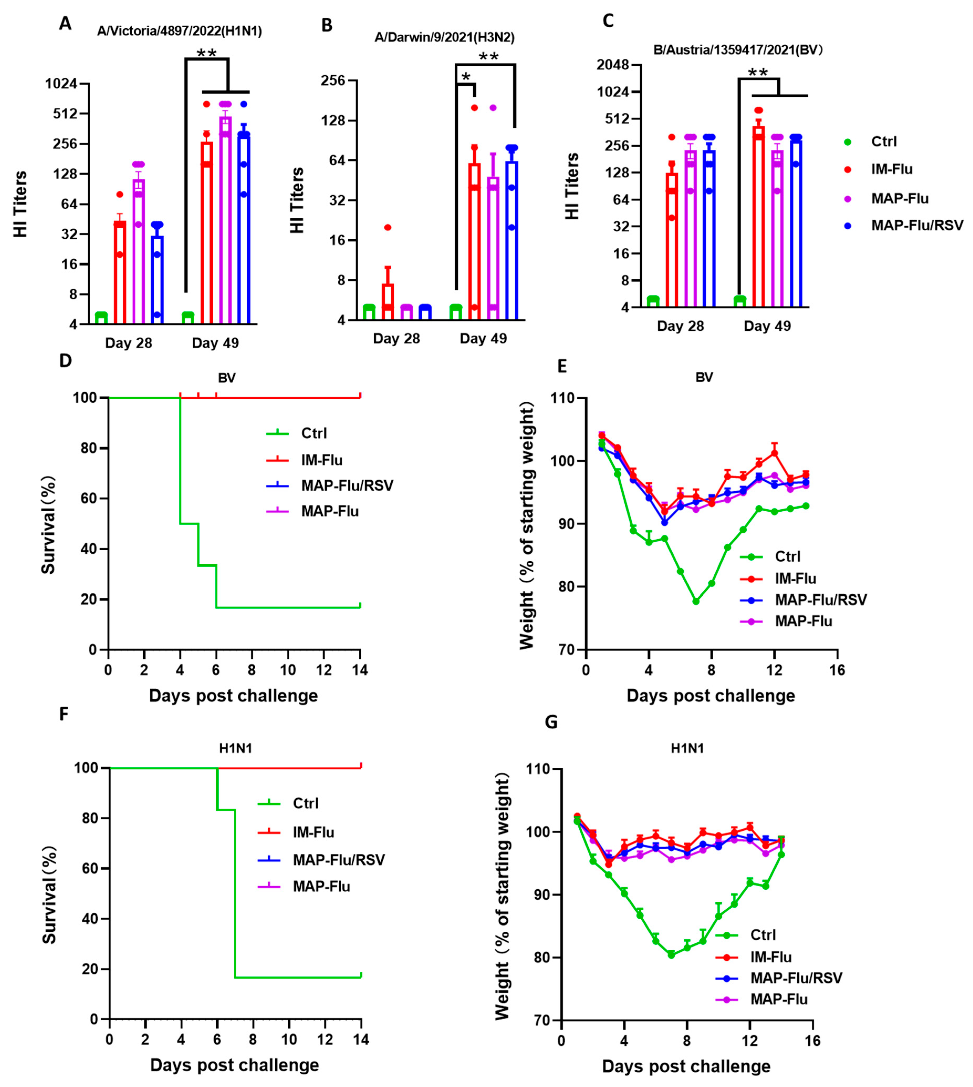 Vaccines 13 01213 g007