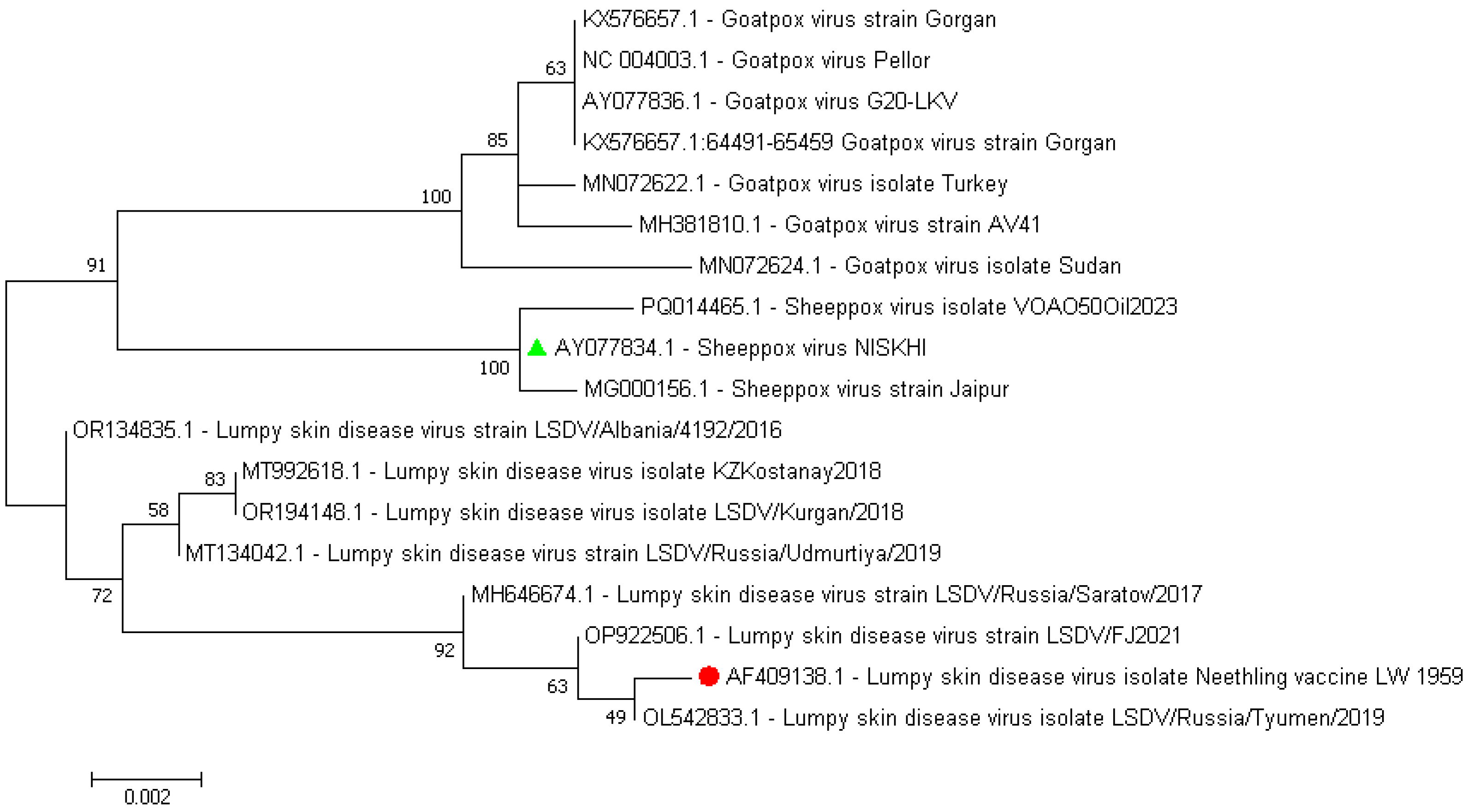 Vaccines 13 01221 g005
