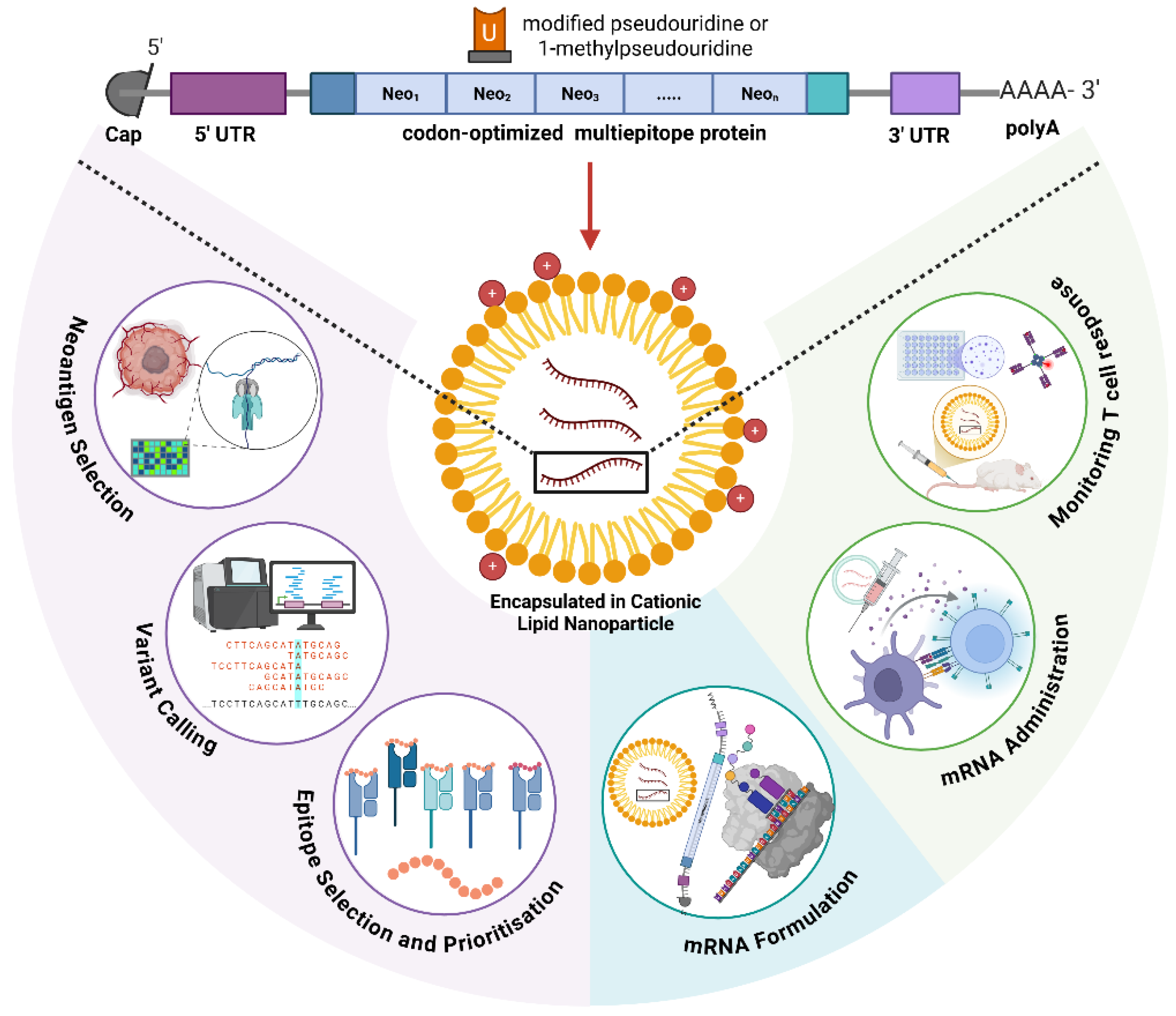 Vaccines 13 01222 g001