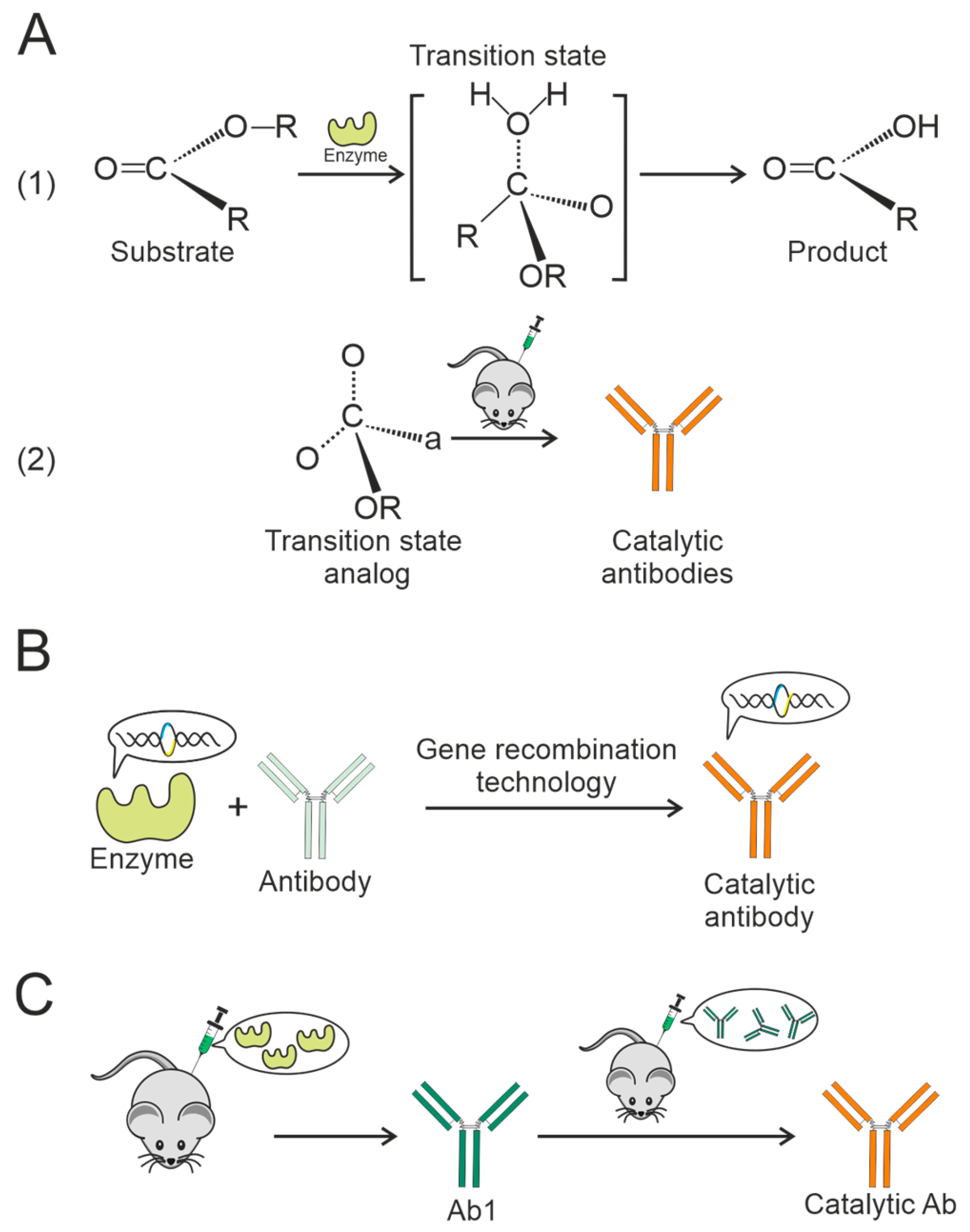 Vaccines 13 01224 g003