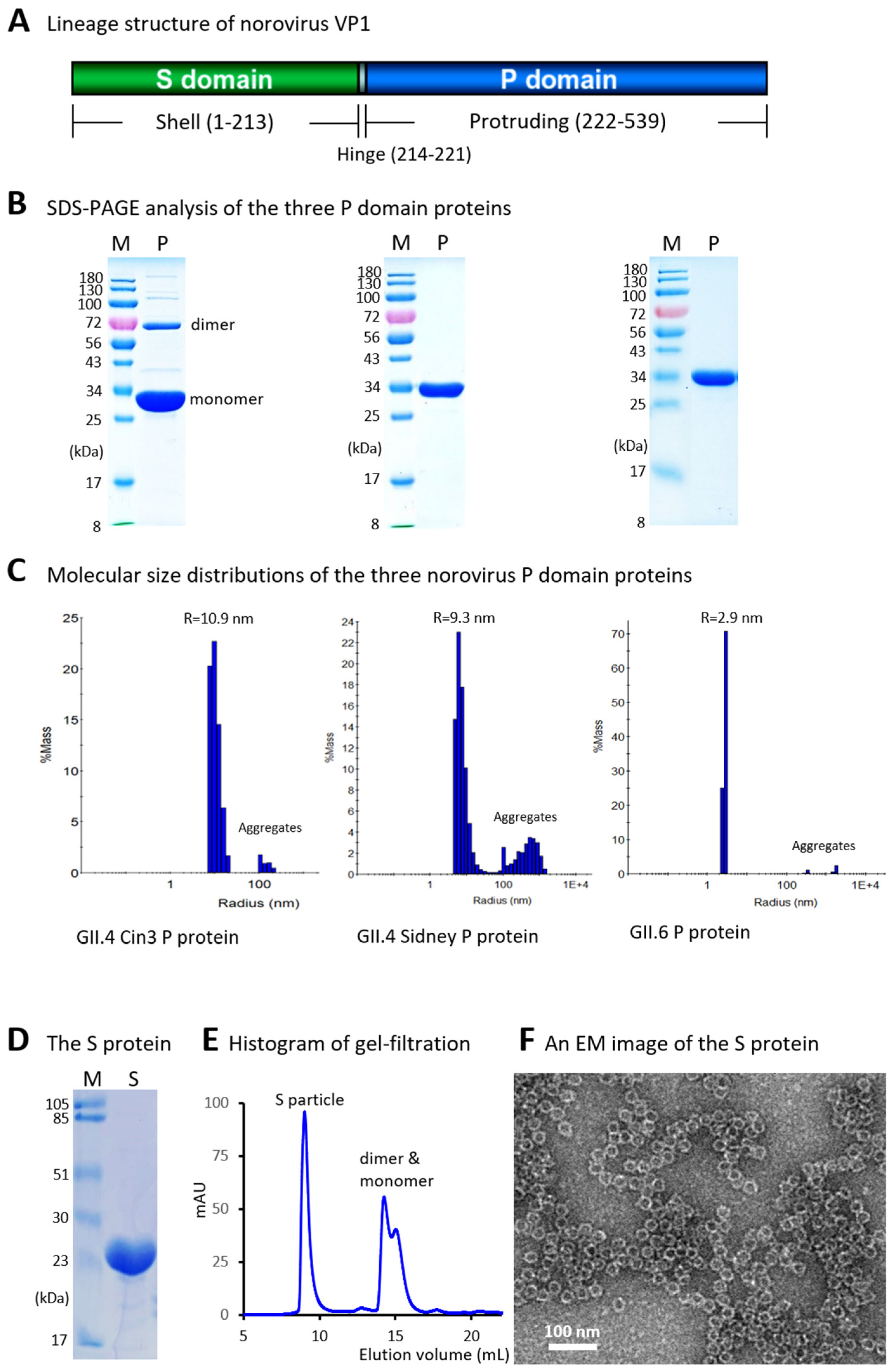 Vaccines 13 01228 g001 Vaccines 13 01228 g001