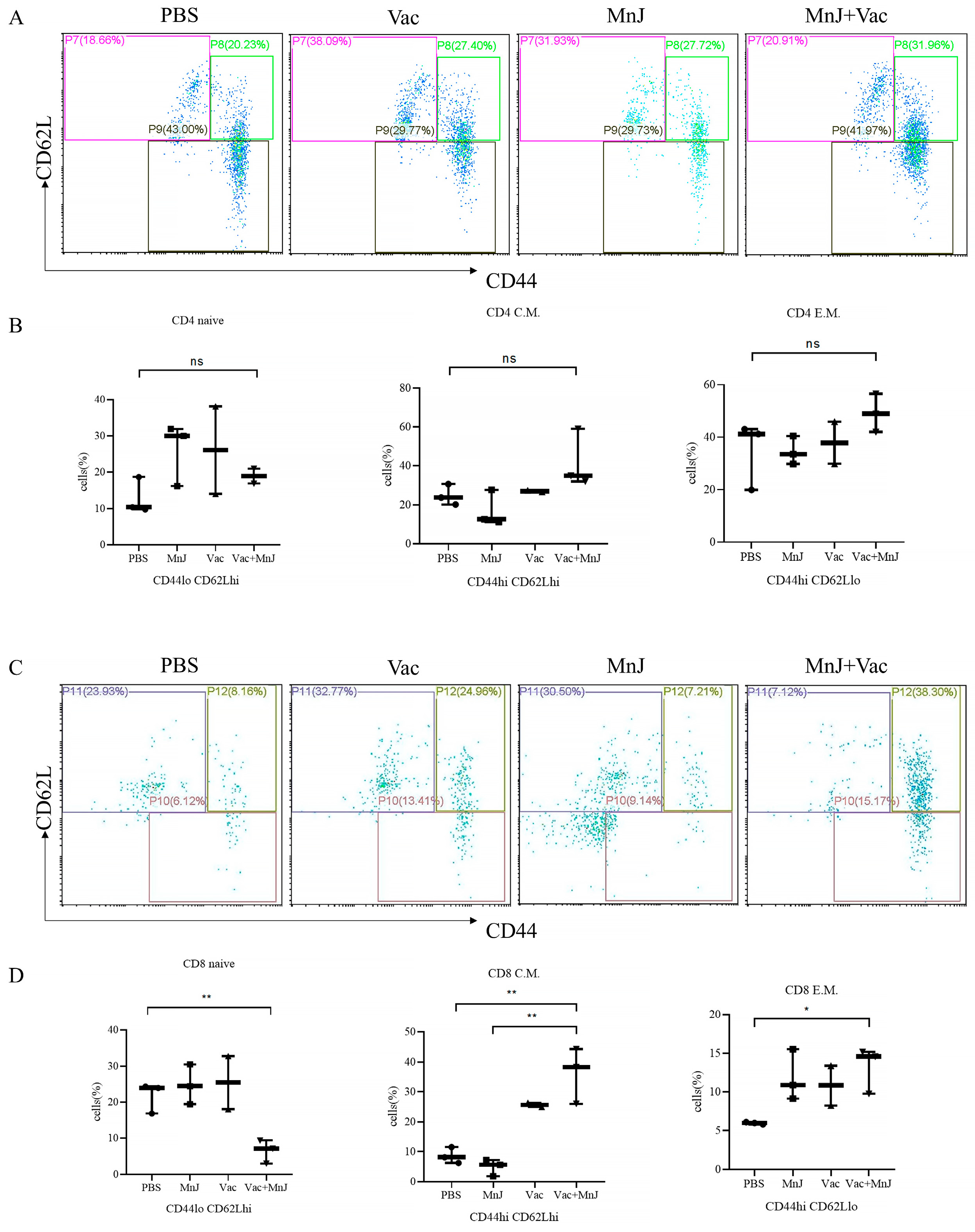 Vaccines 13 01230 g004