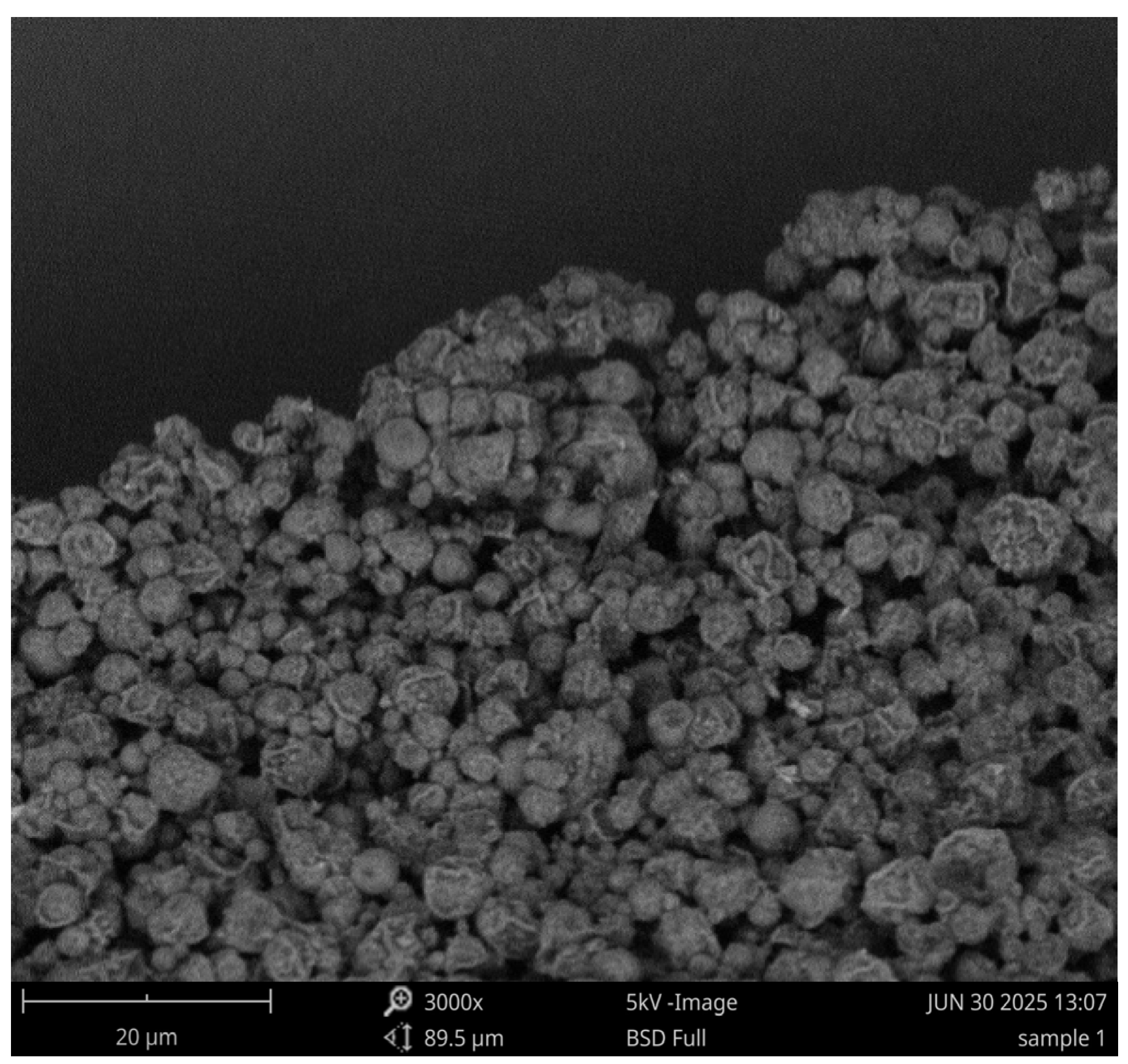 Vaccines 13 01232 g001 Vaccines 13 01232 g001