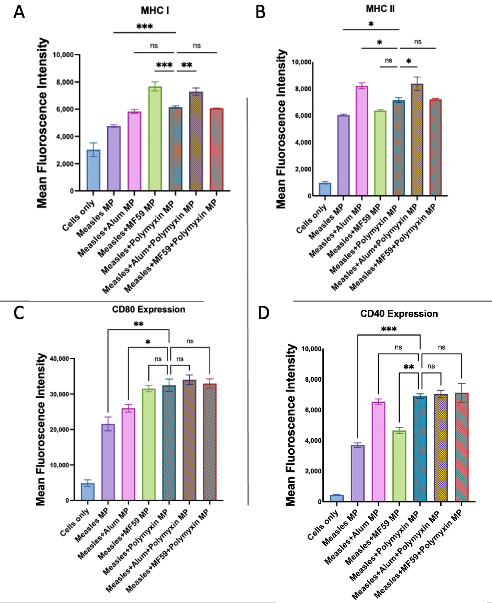 Vaccines 13 01232 g014 Vaccines 13 01232 g014