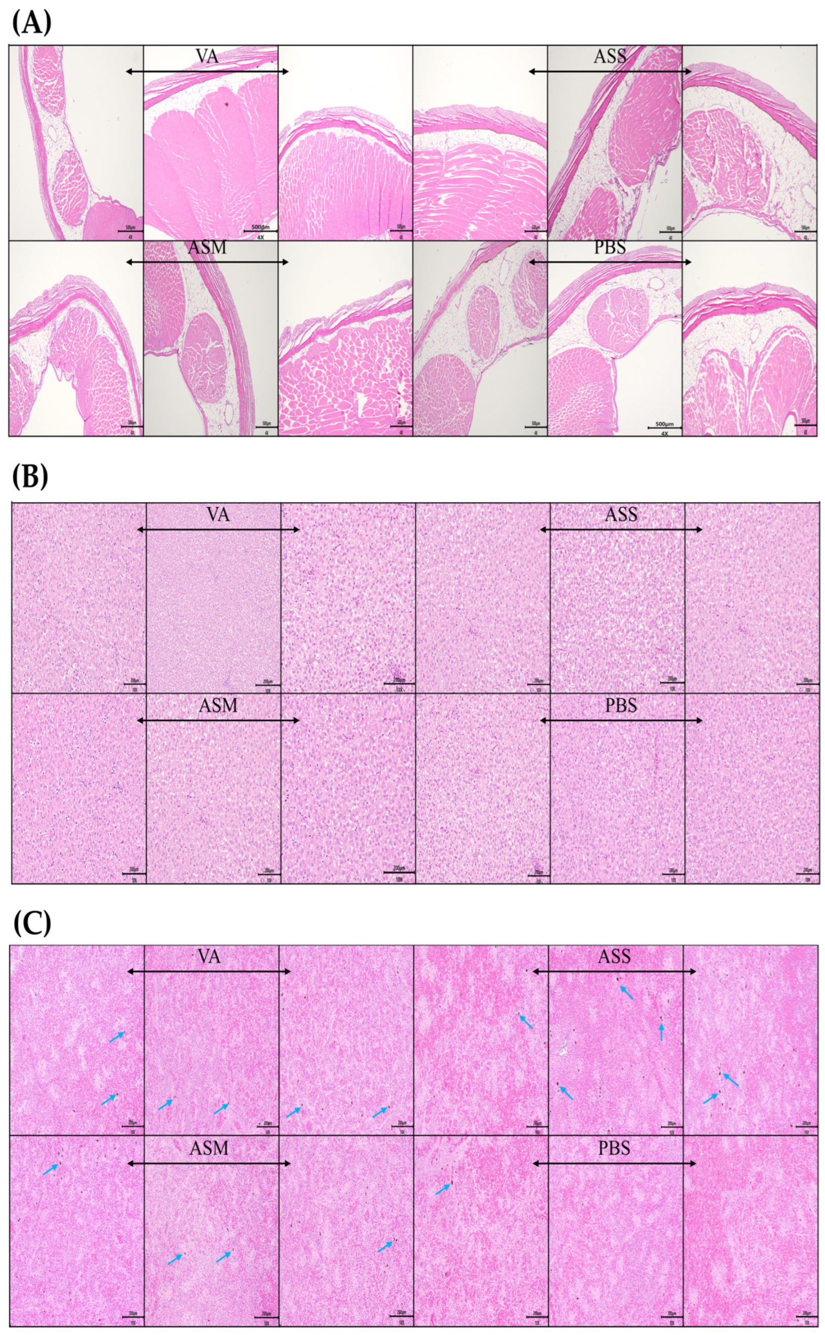 Vaccines 13 01238 g003 Vaccines 13 01238 g003