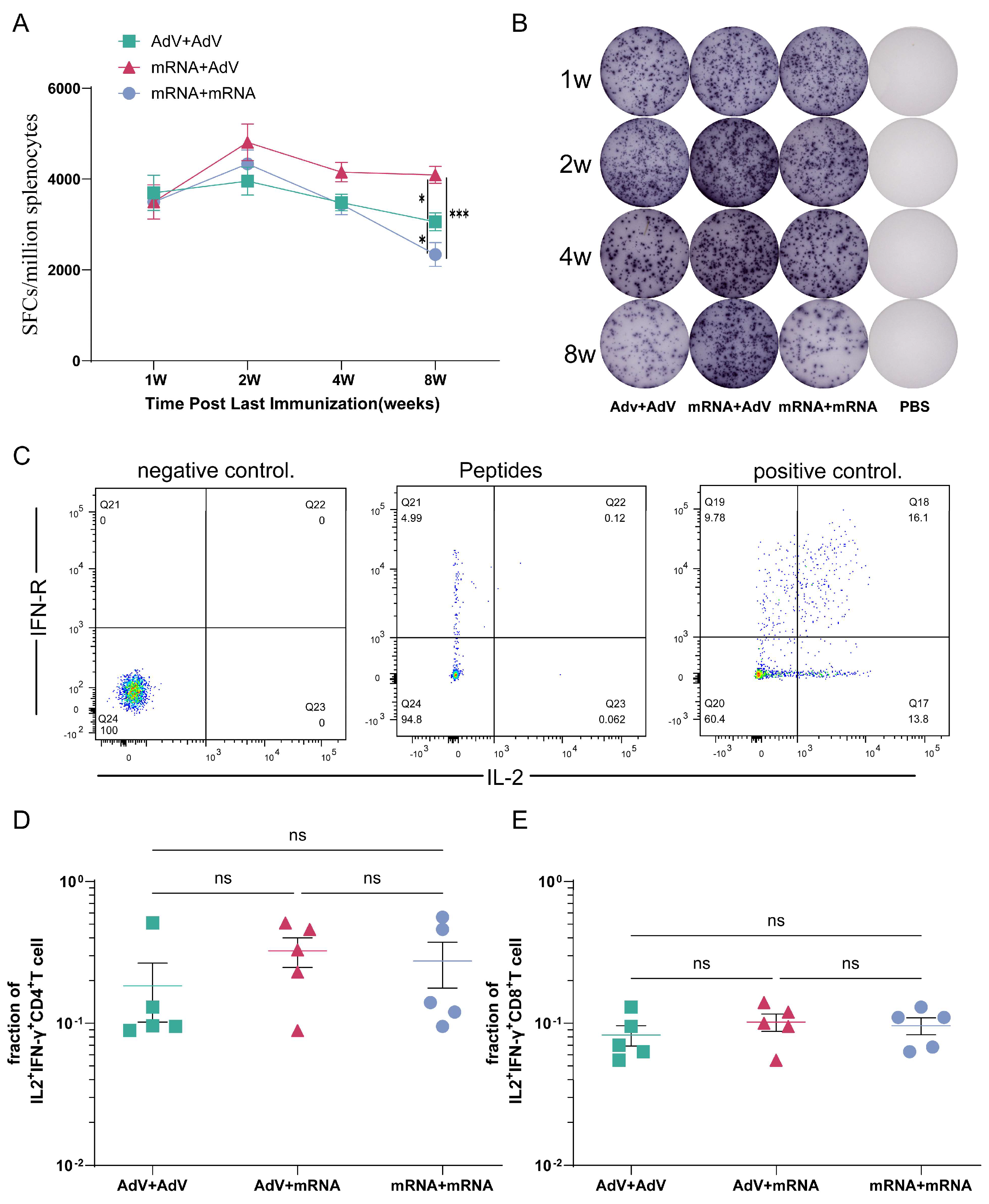Vaccines 13 01242 g003 Vaccines 13 01242 g003