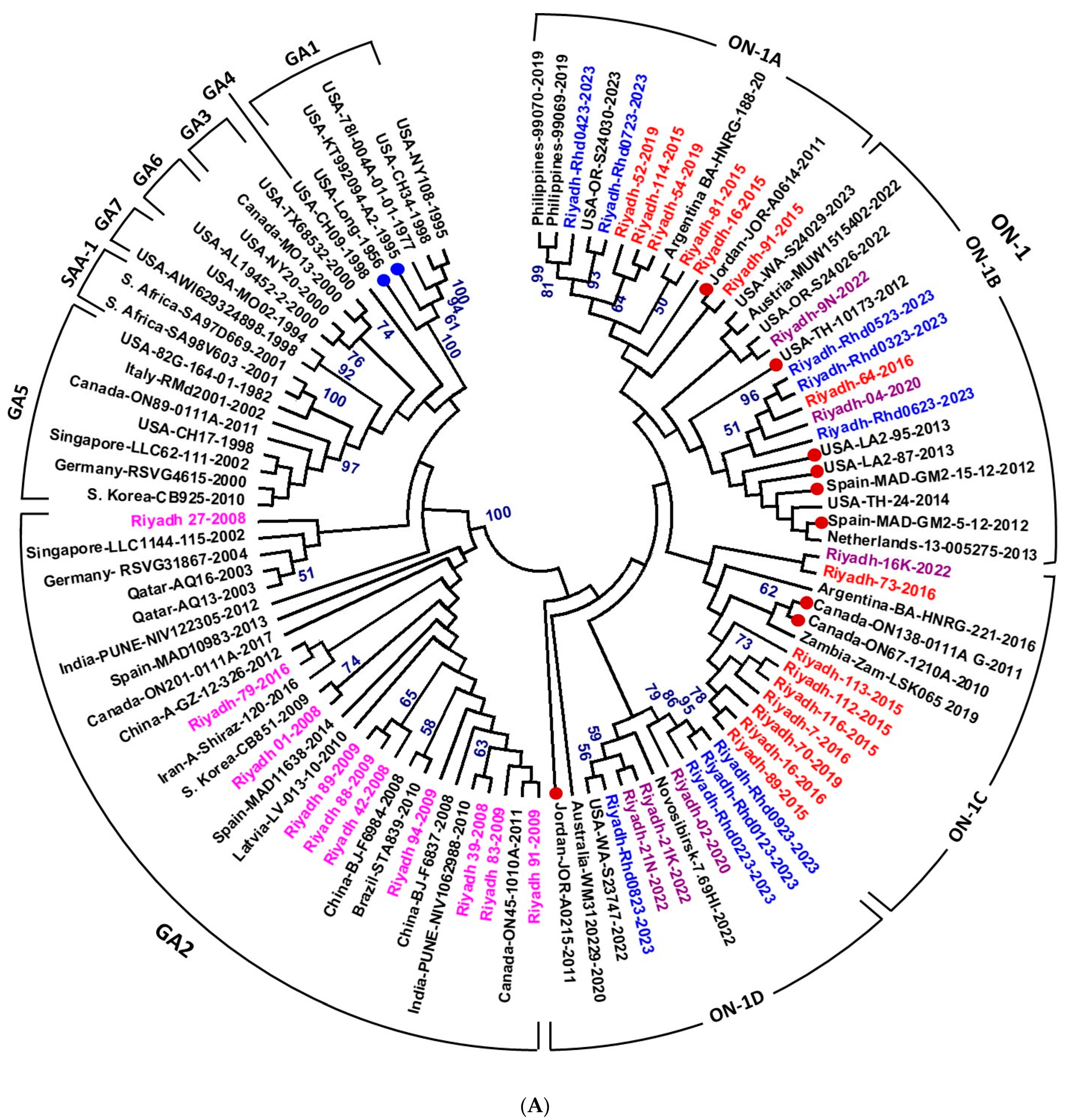 Vaccines 13 01245 g003a