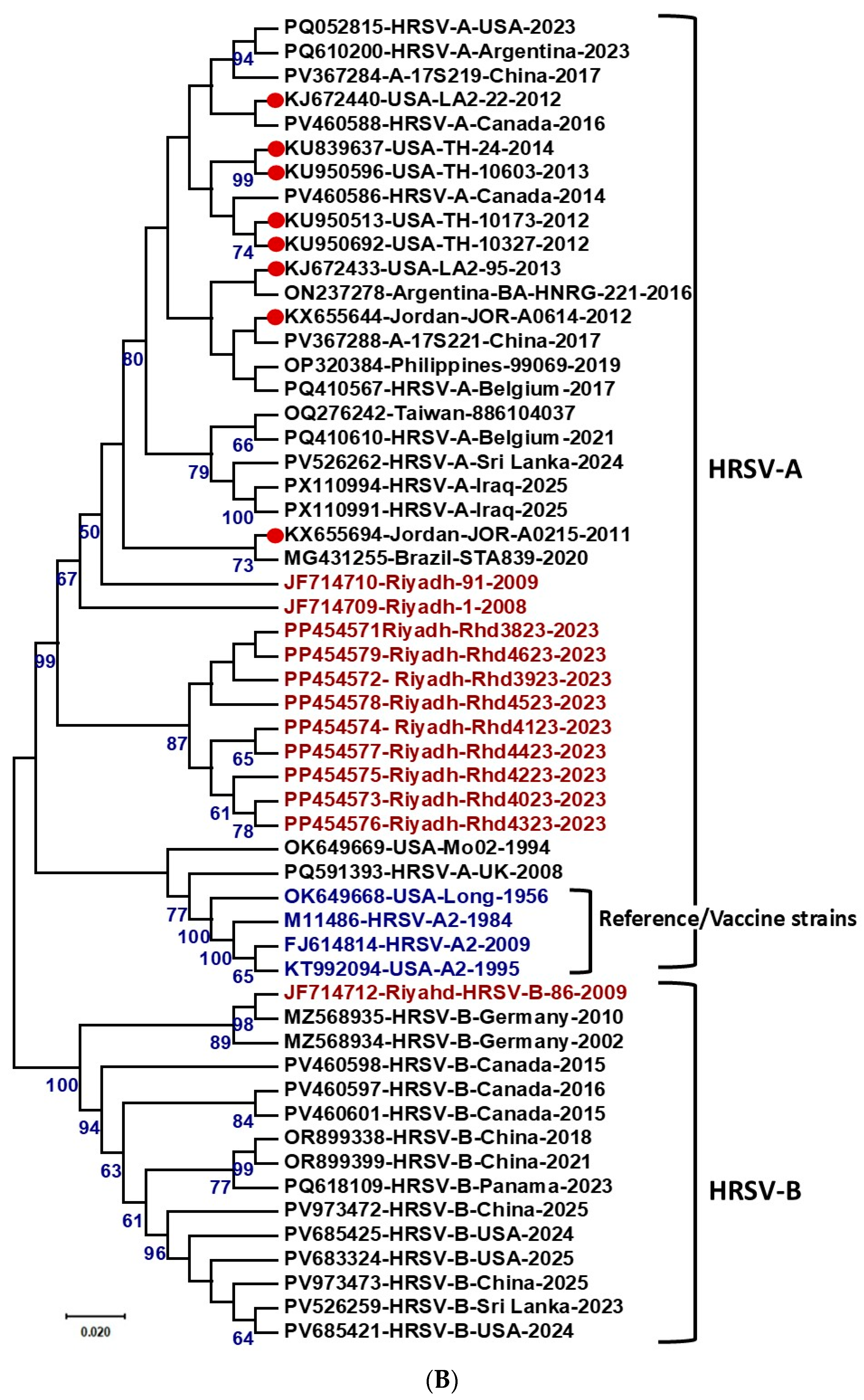Vaccines 13 01245 g003b