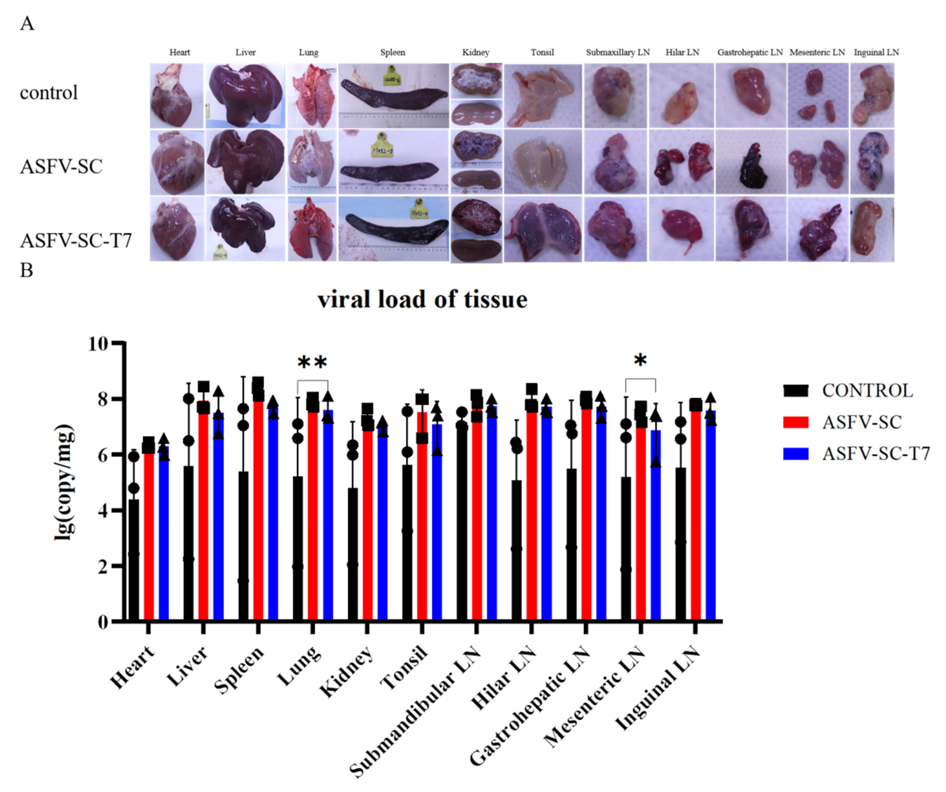 Vaccines 14 00004 g005