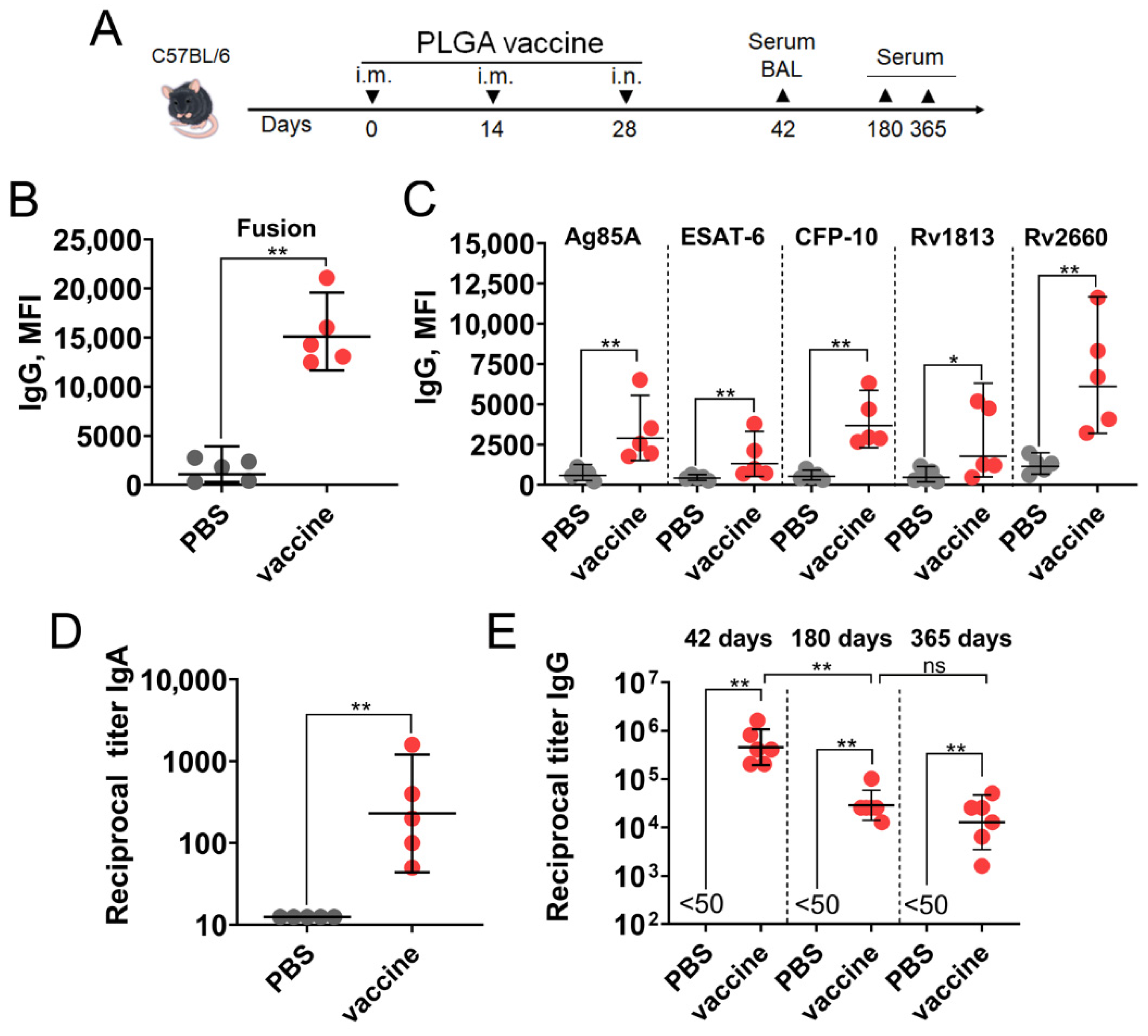 Vaccines 14 00005 g004