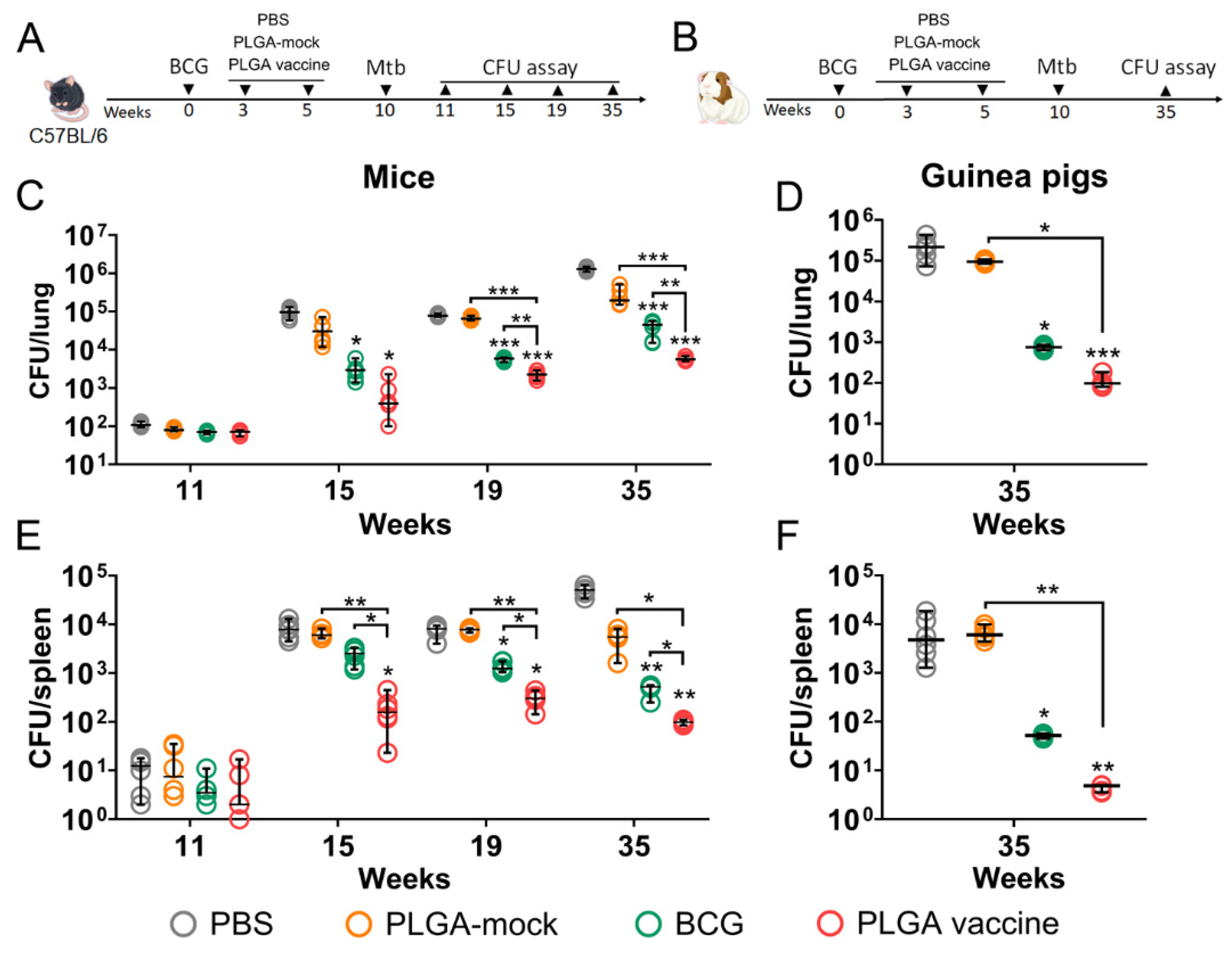 Vaccines 14 00005 g005