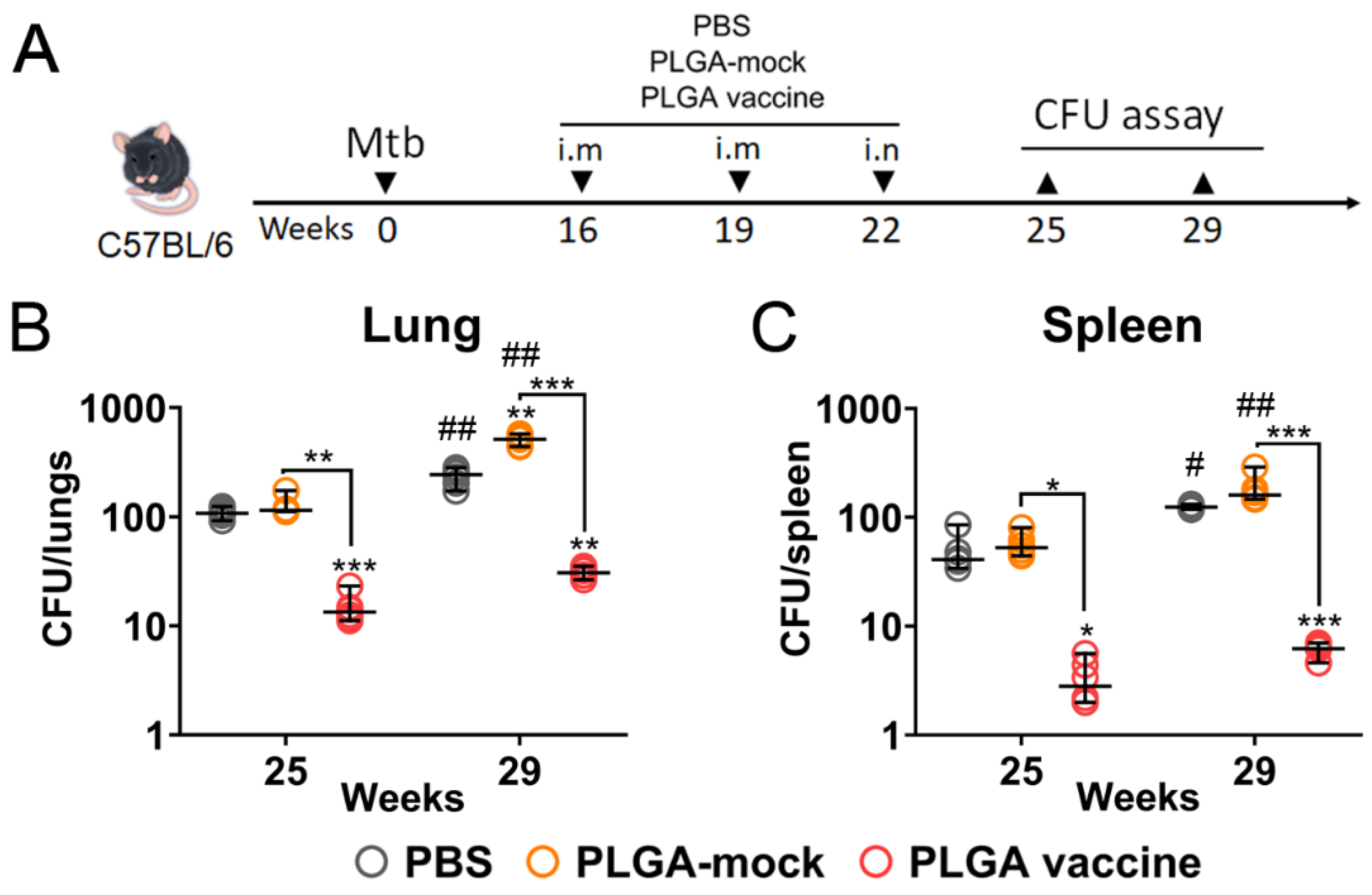 Vaccines 14 00005 g006
