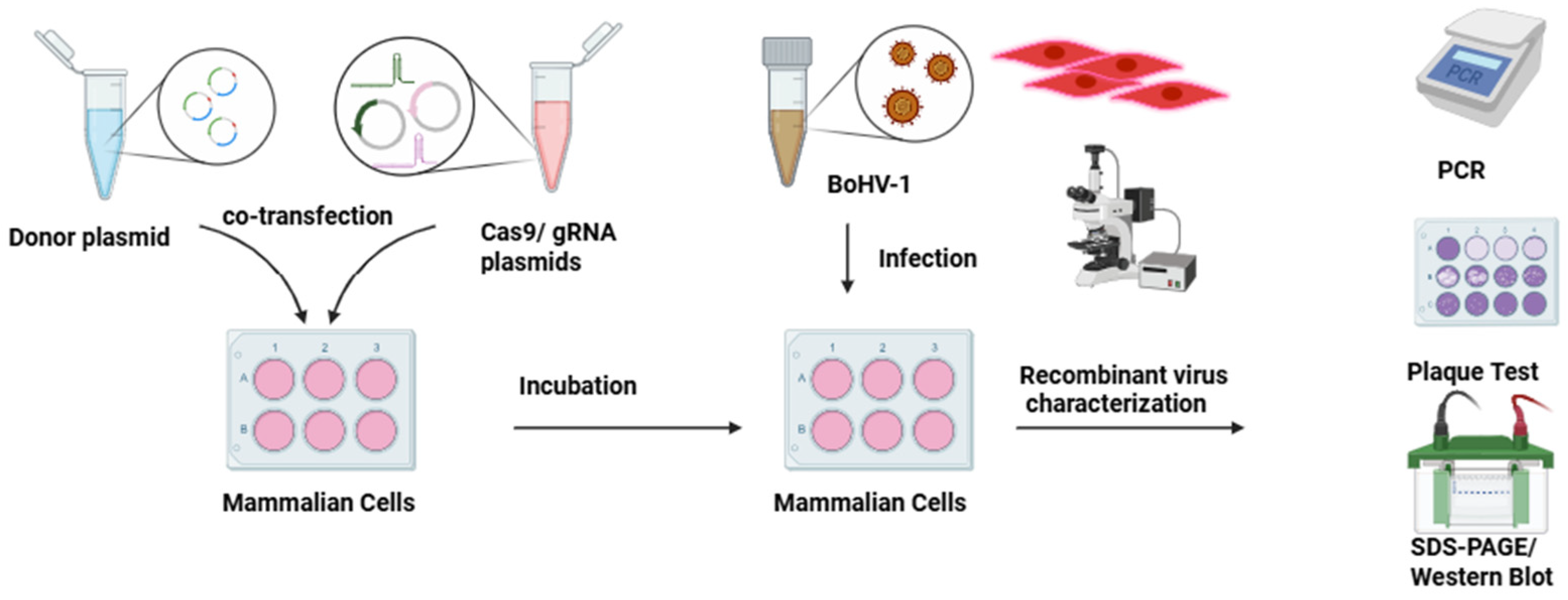 Vaccines 14 00006 g003