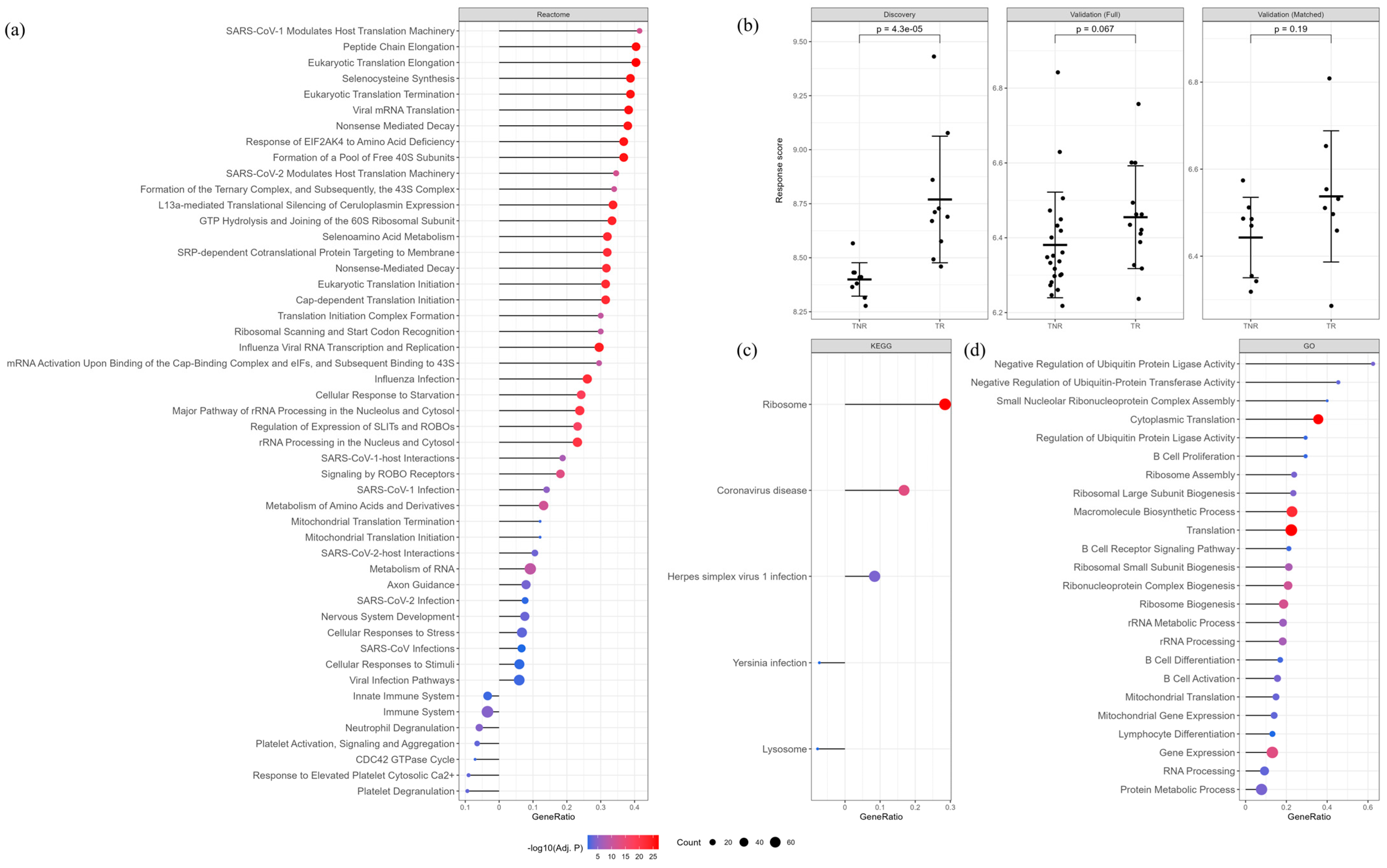 Vaccines 14 00012 g002