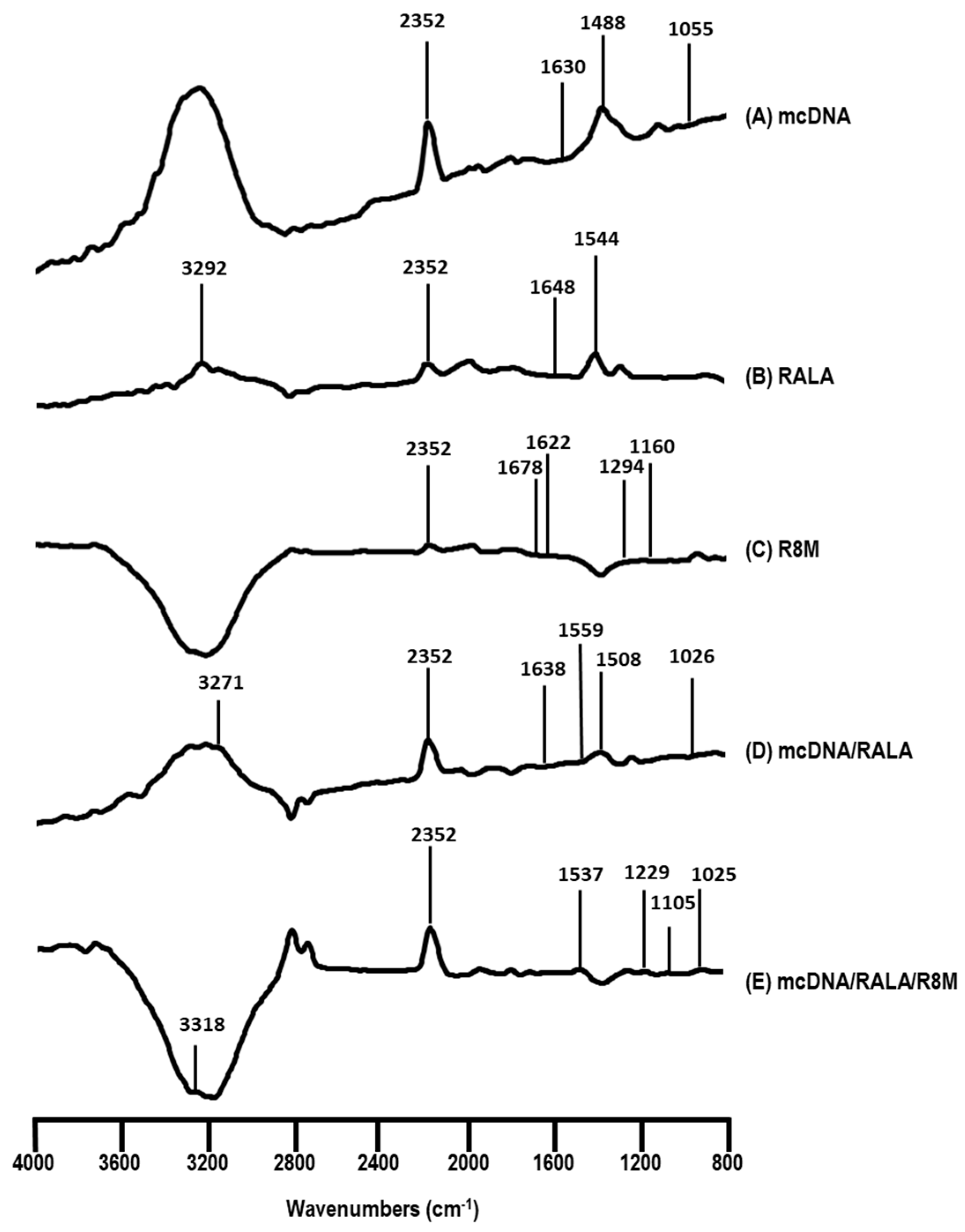 Vaccines 14 00018 g003 Vaccines 14 00018 g003