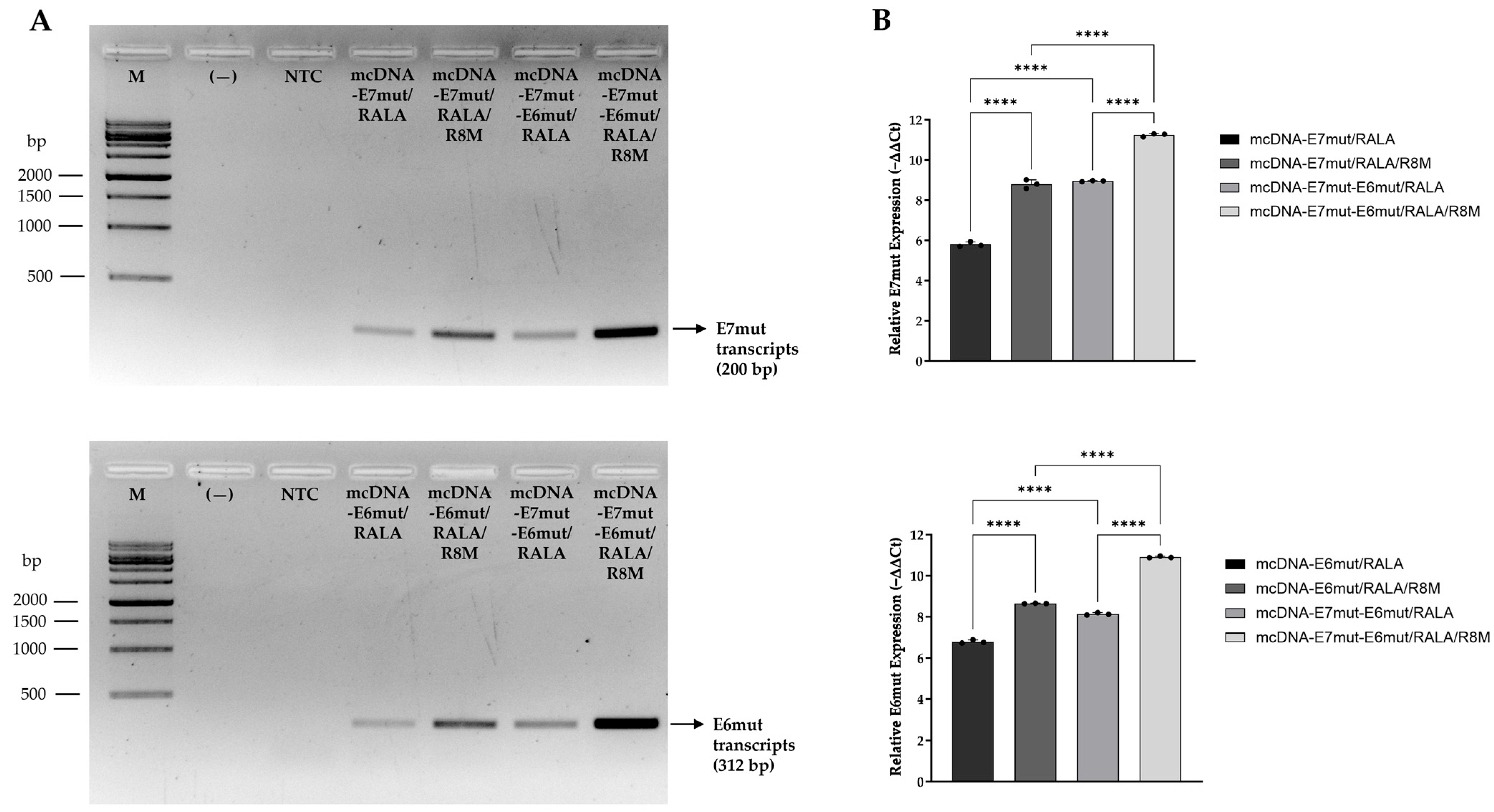 Vaccines 14 00018 g007 Vaccines 14 00018 g007